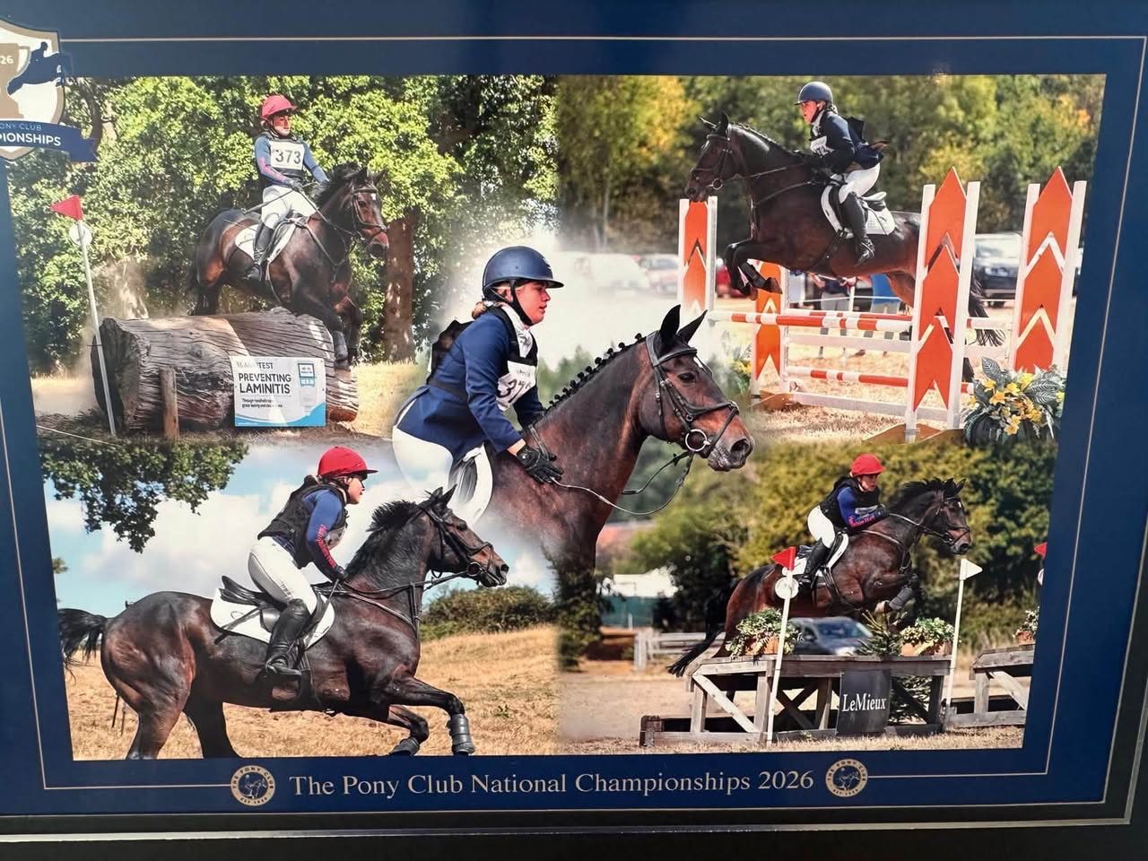 Gallery Image for Pony Club