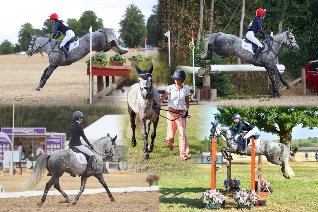 Gallery Image for Pony Club