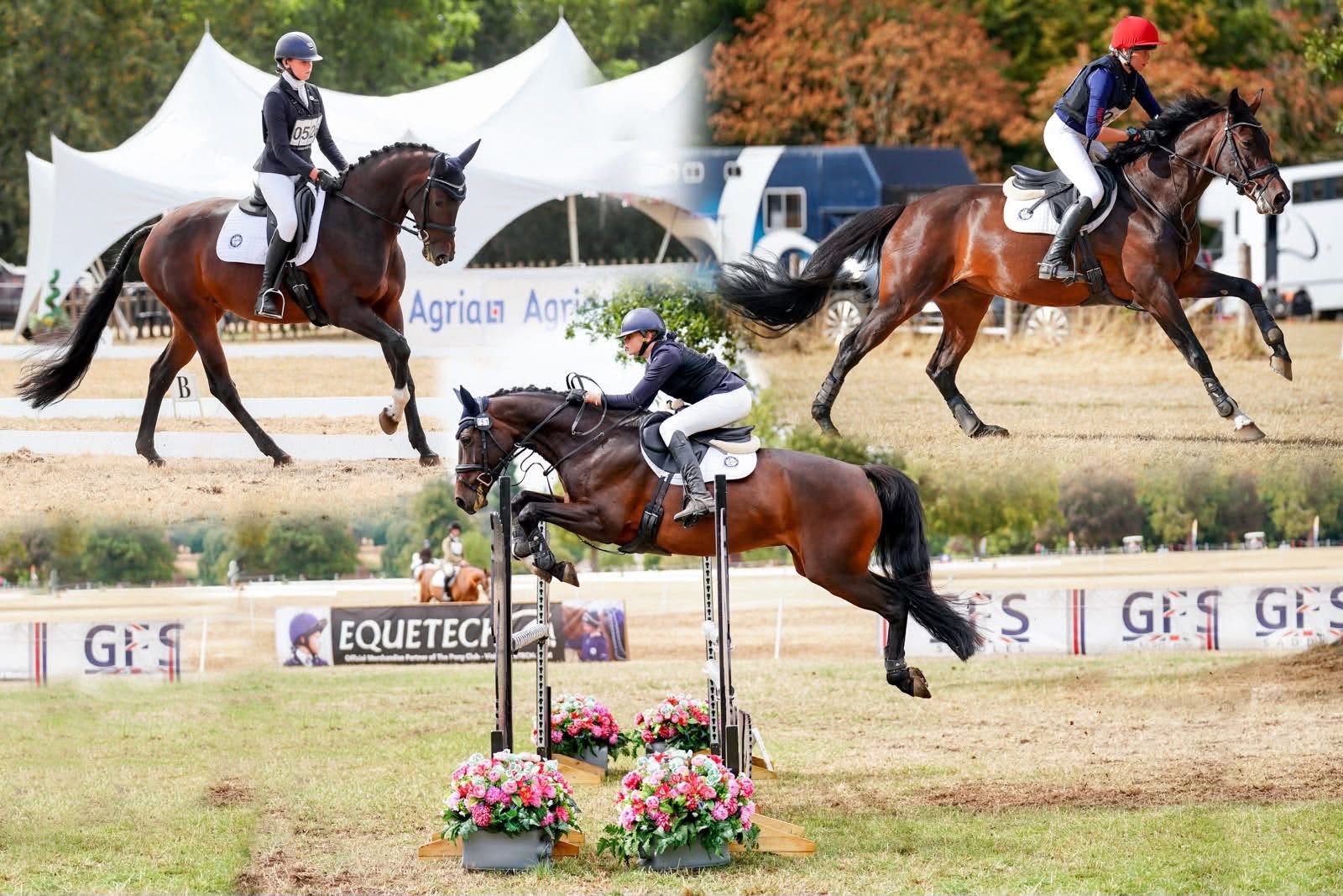 Gallery Image for Pony Club