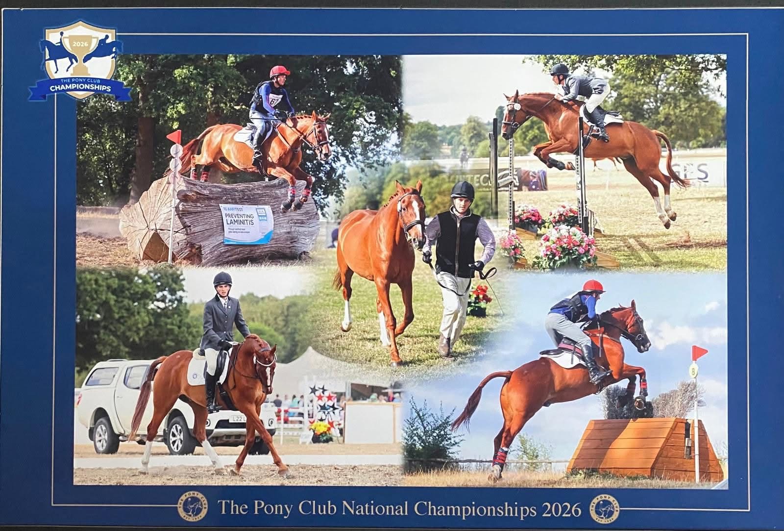 Gallery Image for Pony Club