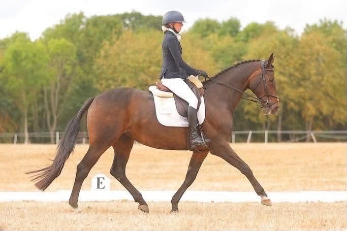 Gallery Image for Pony Club