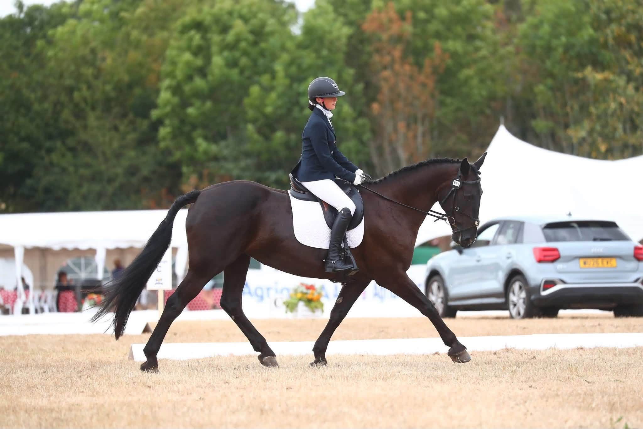 Gallery Image for Pony Club