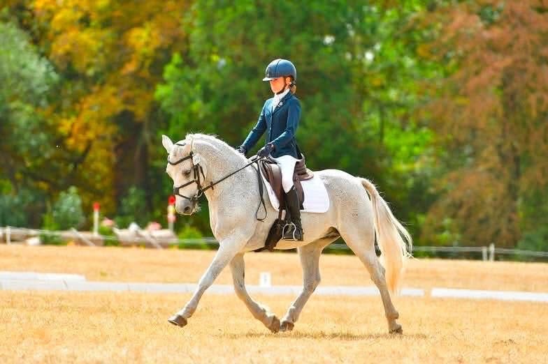 Gallery Image for Pony Club