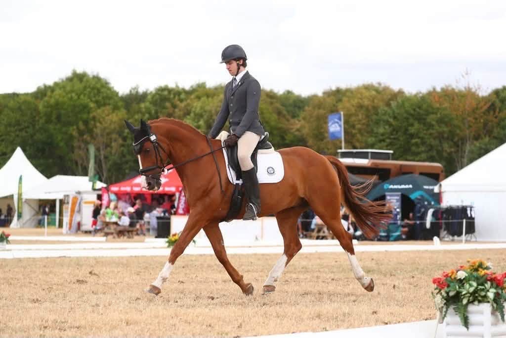 Gallery Image for Pony Club