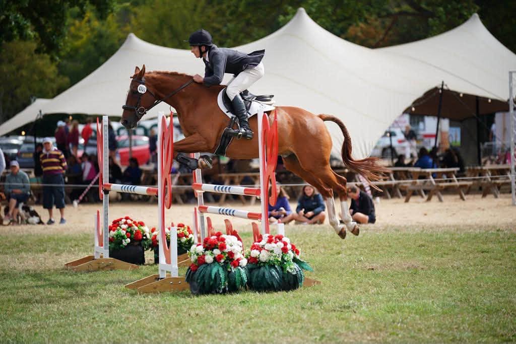 Gallery Image for Pony Club