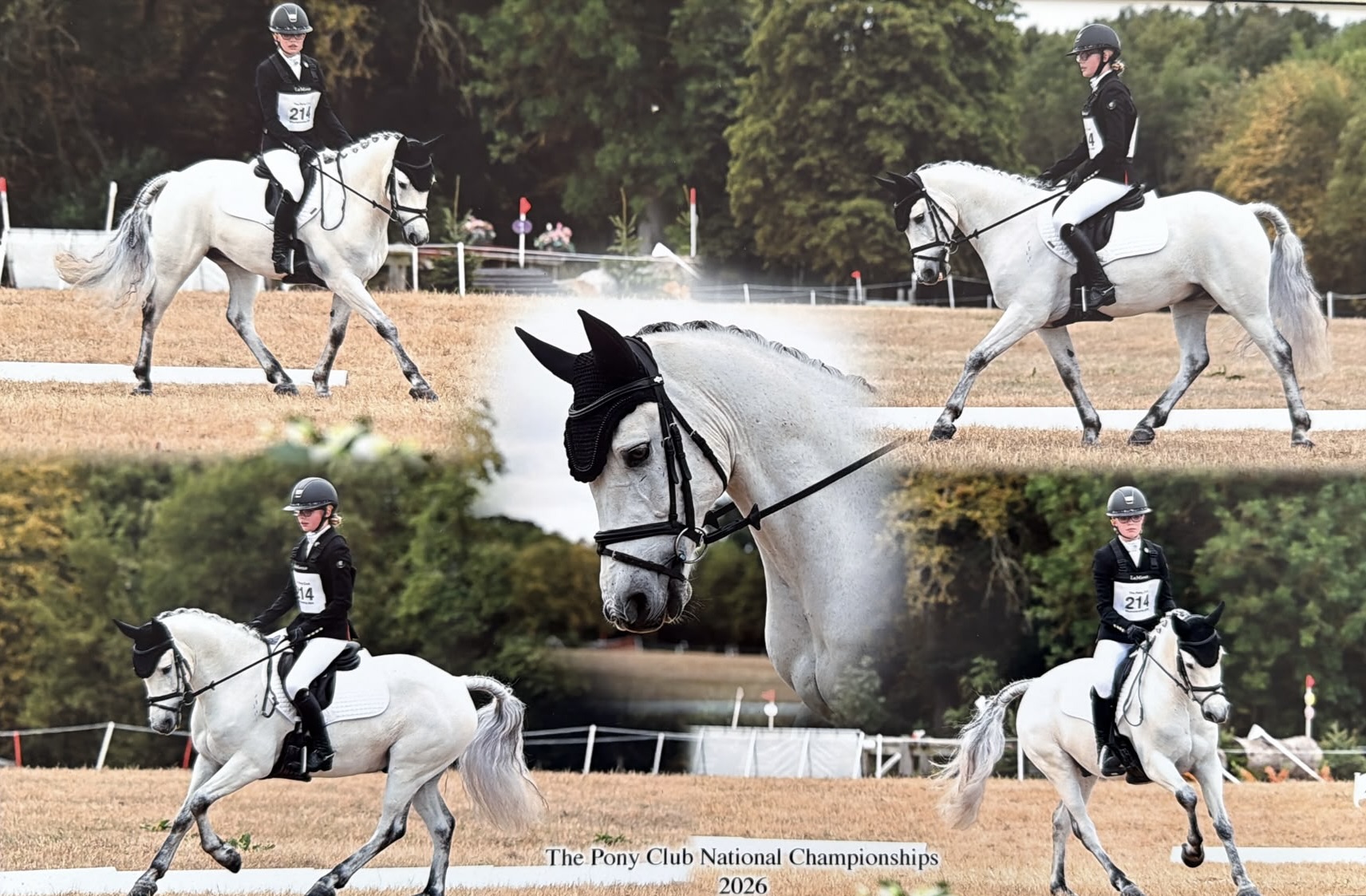 Gallery Image for Pony Club