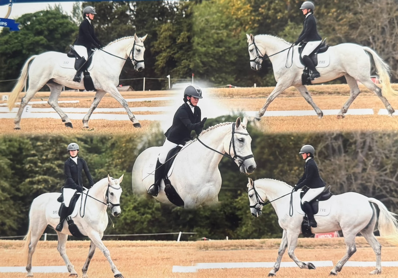 Gallery Image for Pony Club