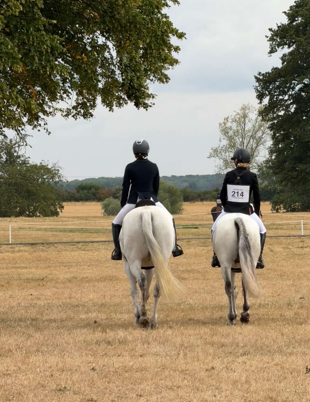Gallery Image for Pony Club