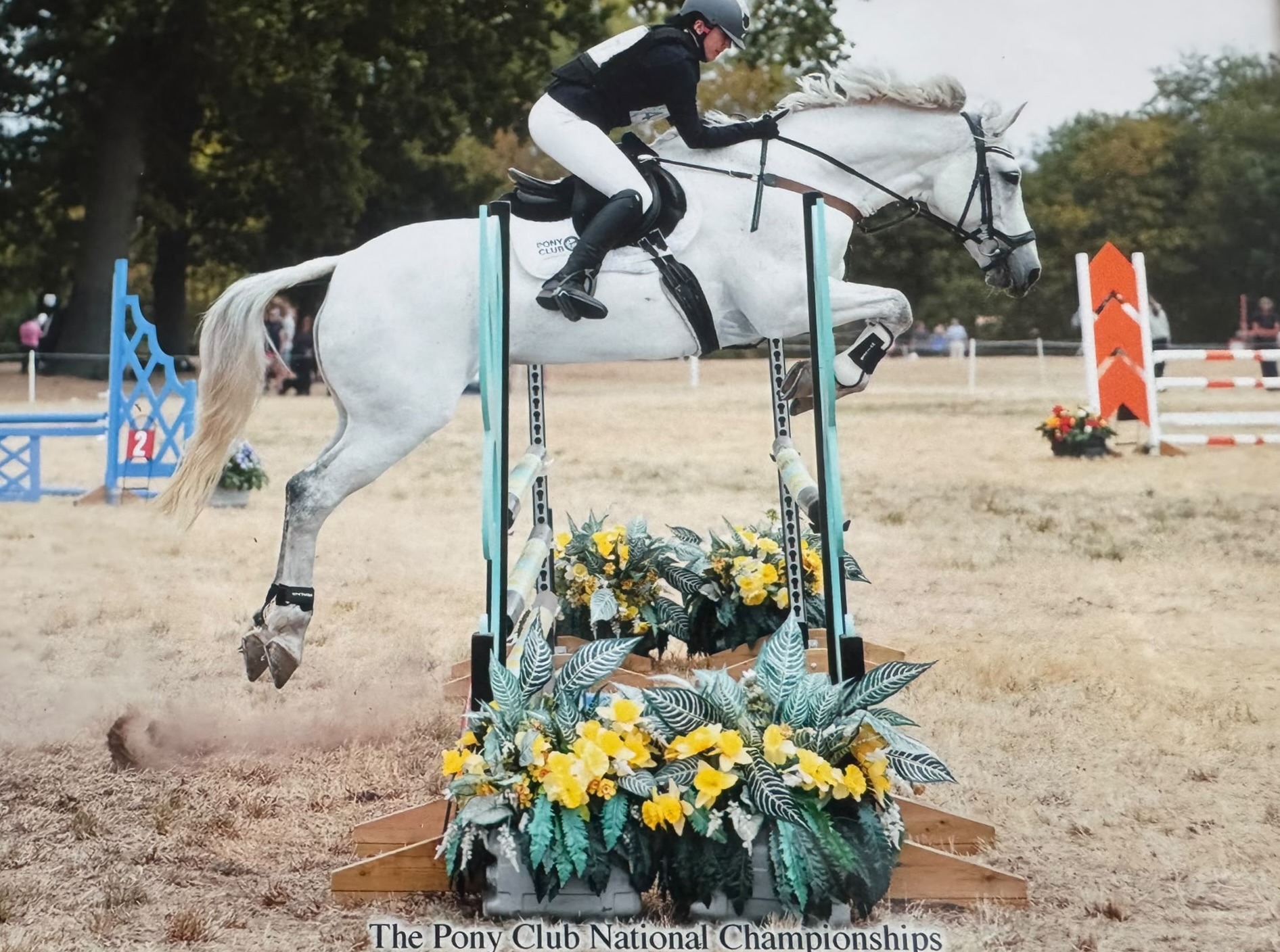 Gallery Image for Pony Club