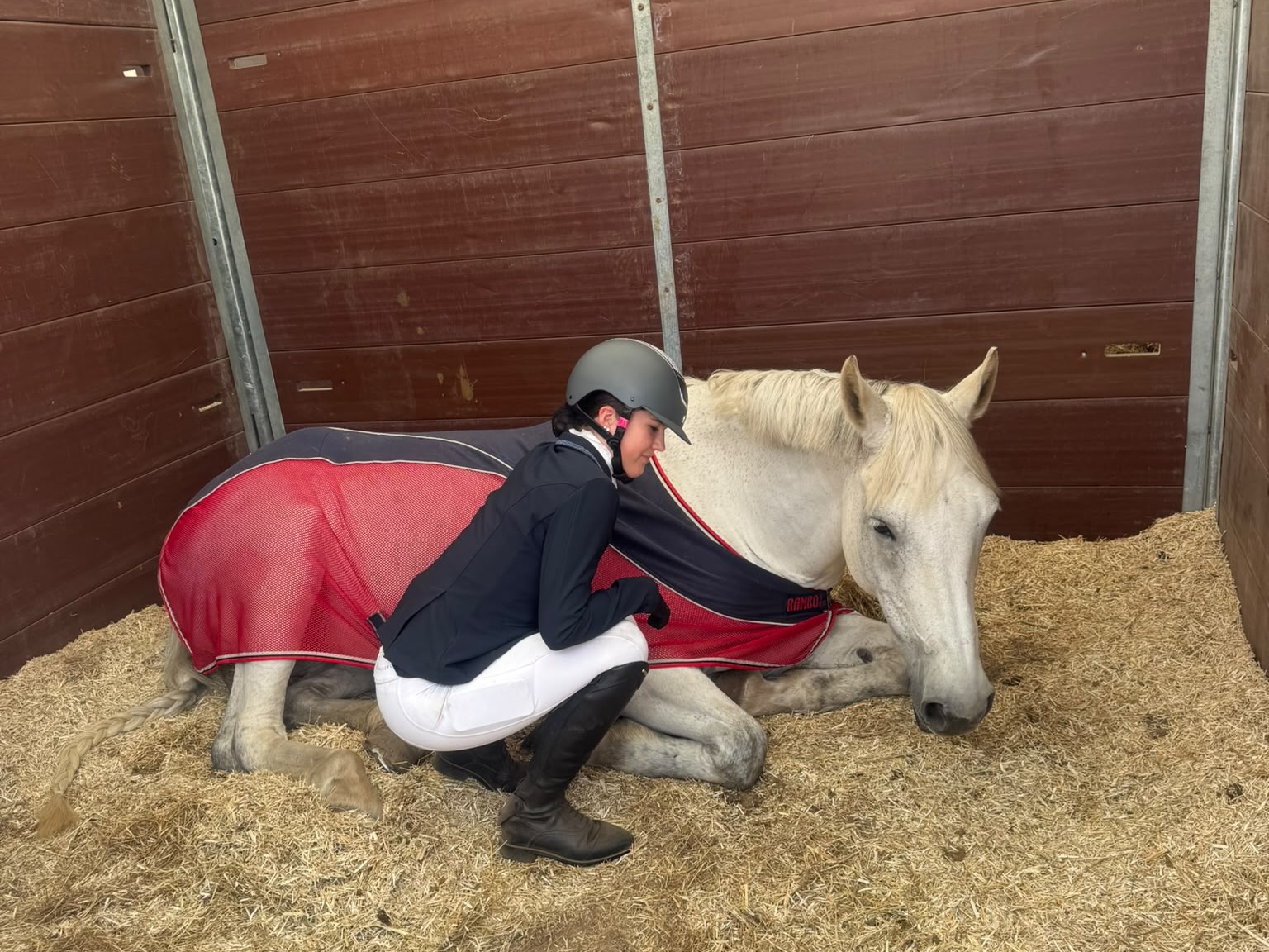 Gallery Image for Pony Club