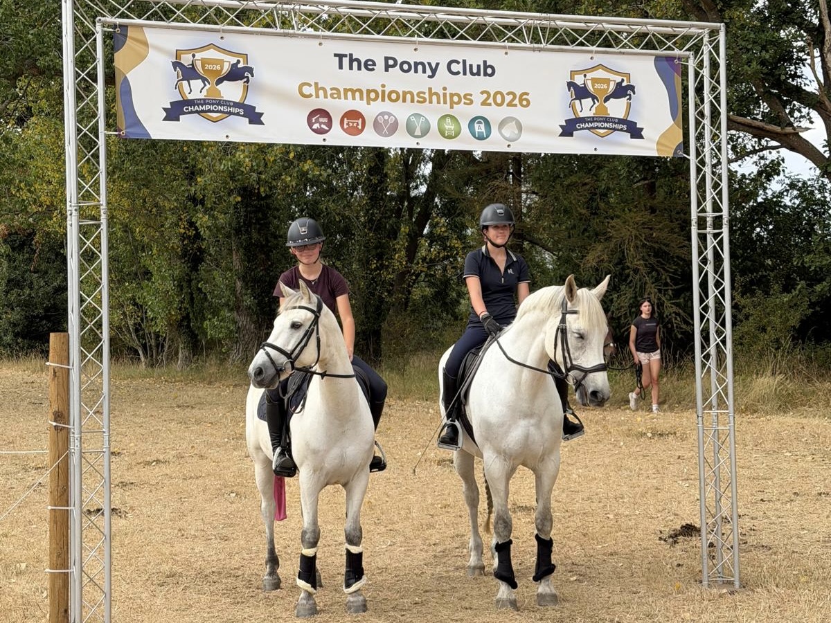 Gallery Image for Pony Club
