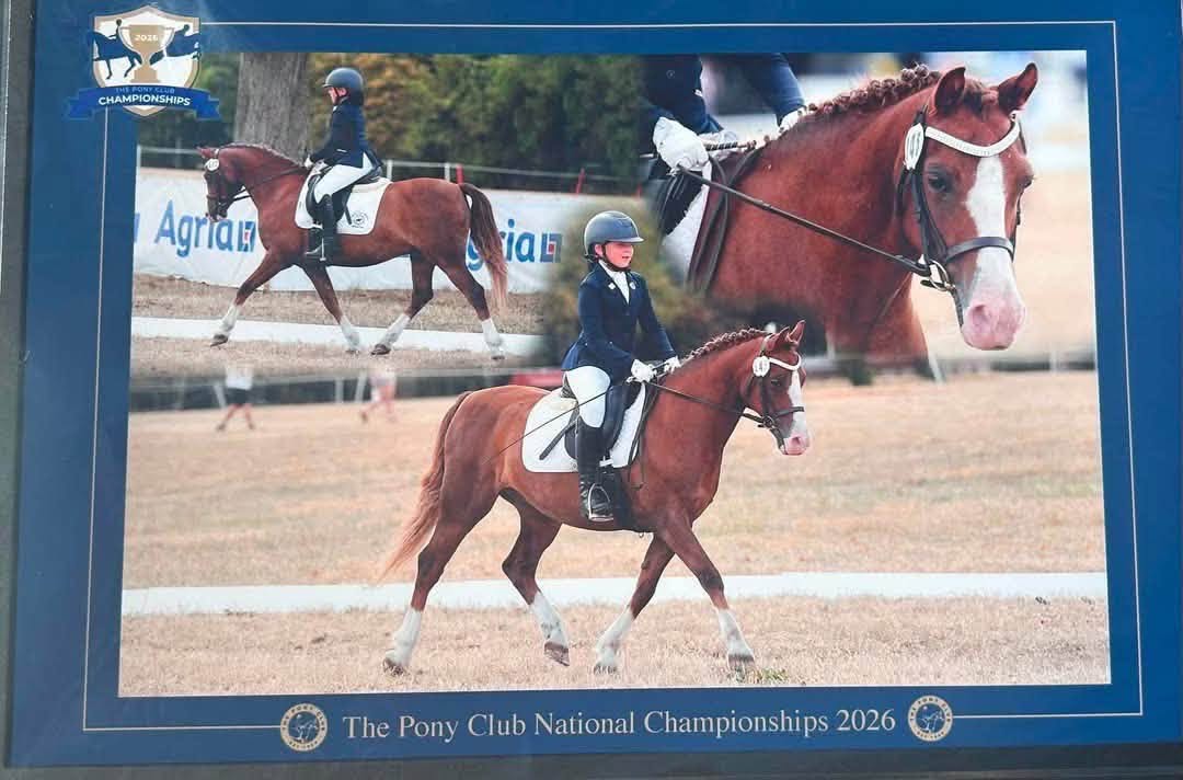 Gallery Image for Pony Club