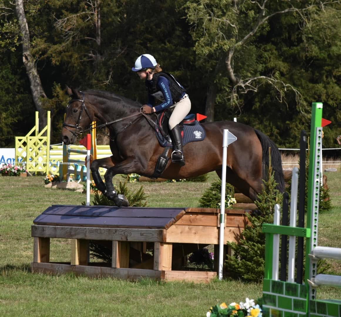 Gallery Image for Pony Club