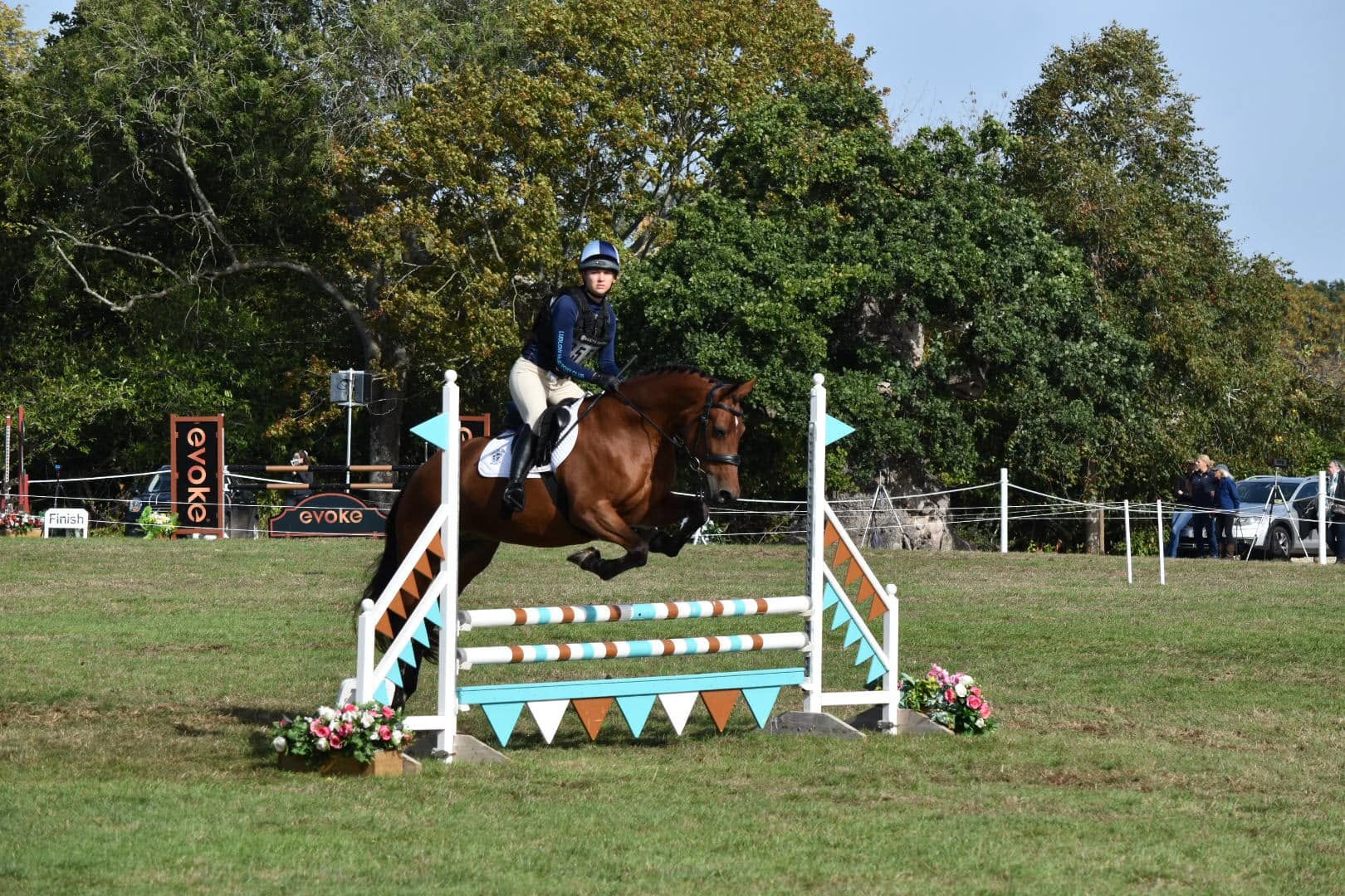 Gallery Image for Pony Club