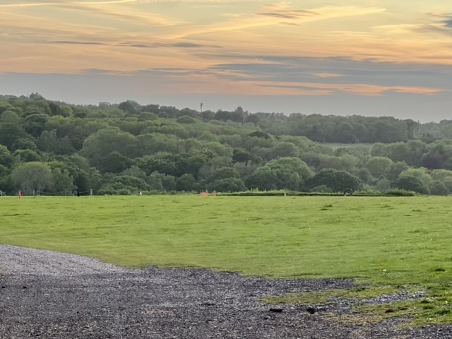 Mid Surrey Field