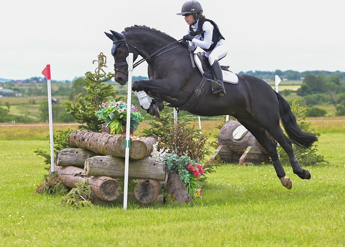 Gallery Image for Pony Club