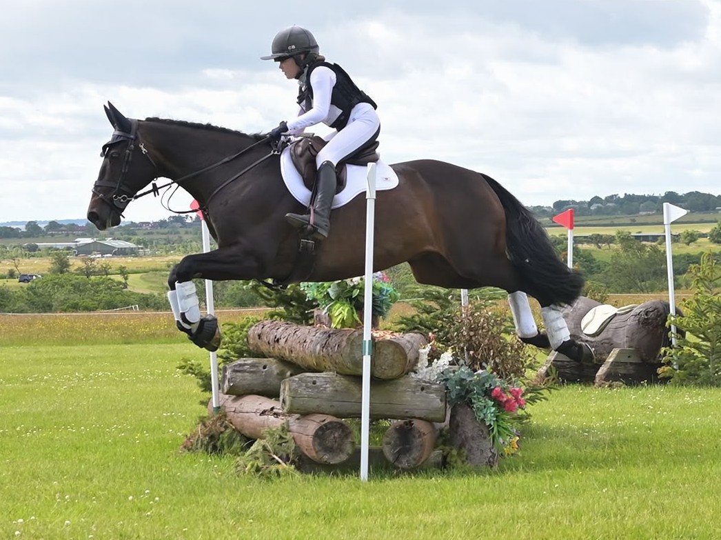 Gallery Image for Pony Club