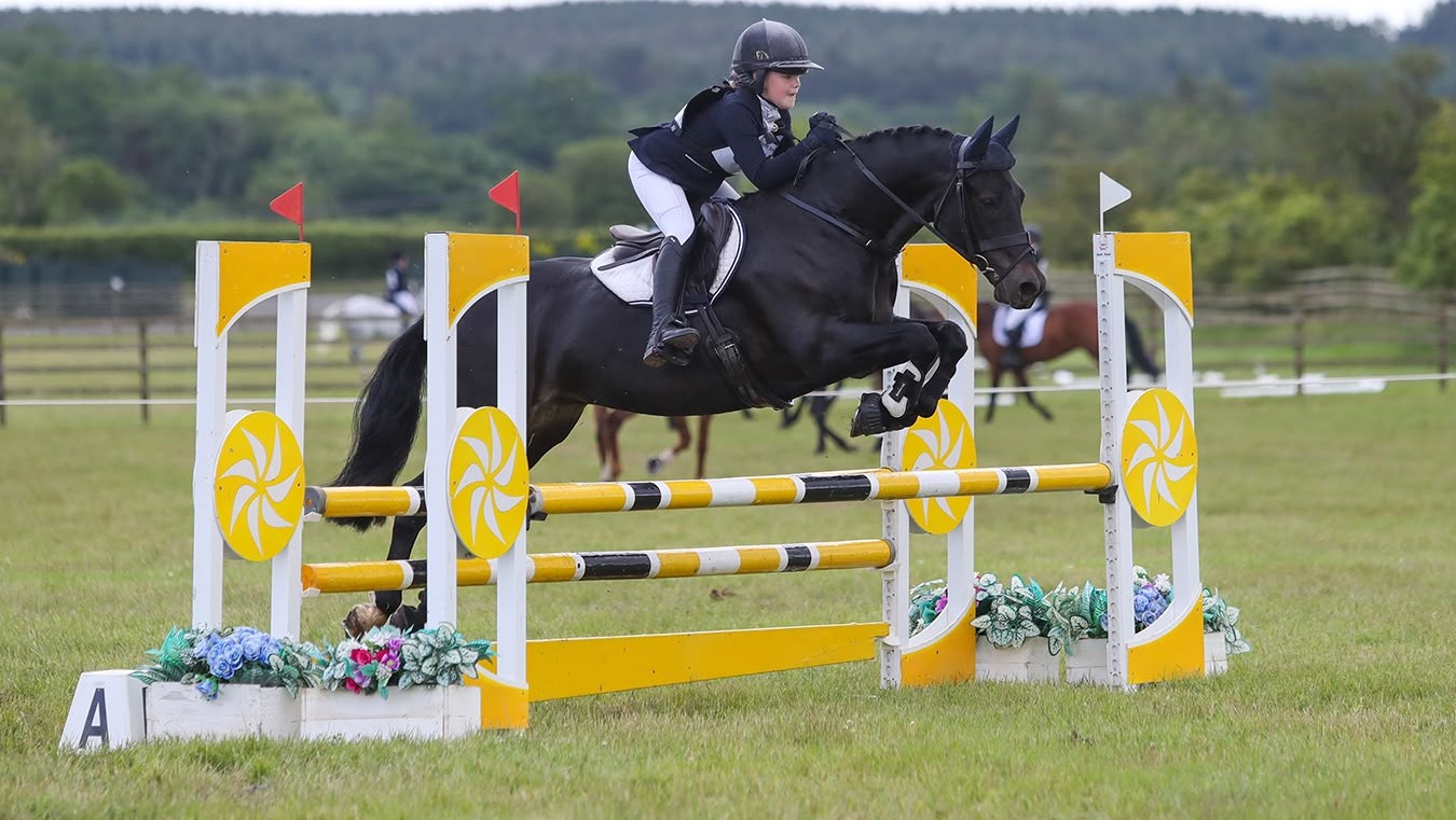 Gallery Image for Pony Club