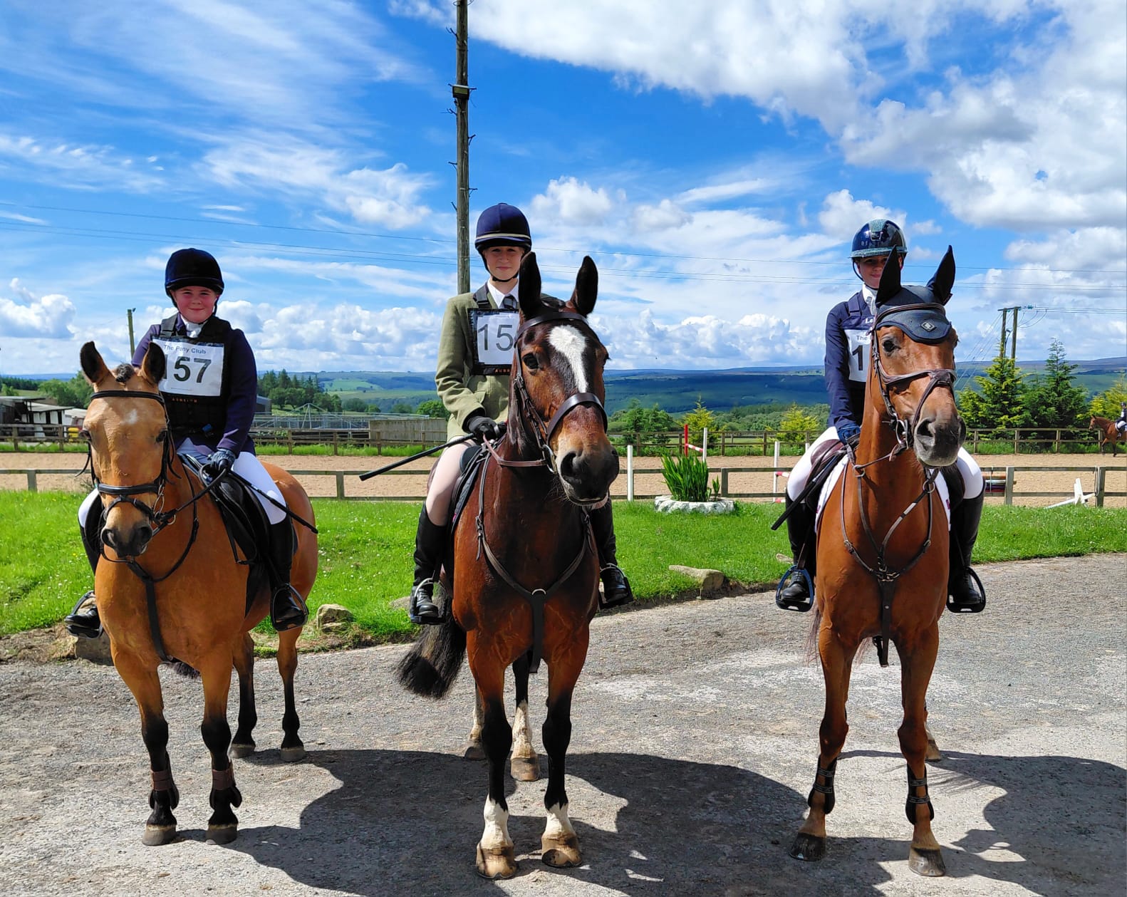 Area Showjumping