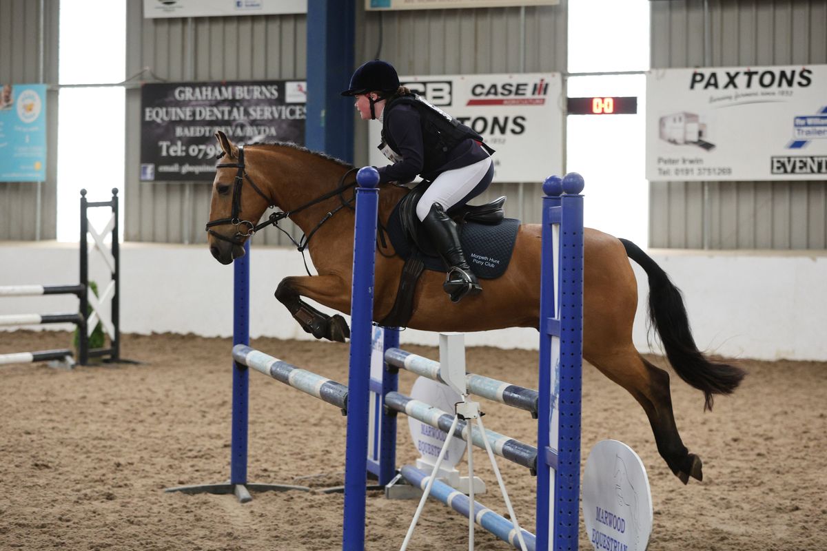 Gallery Image for Pony Club