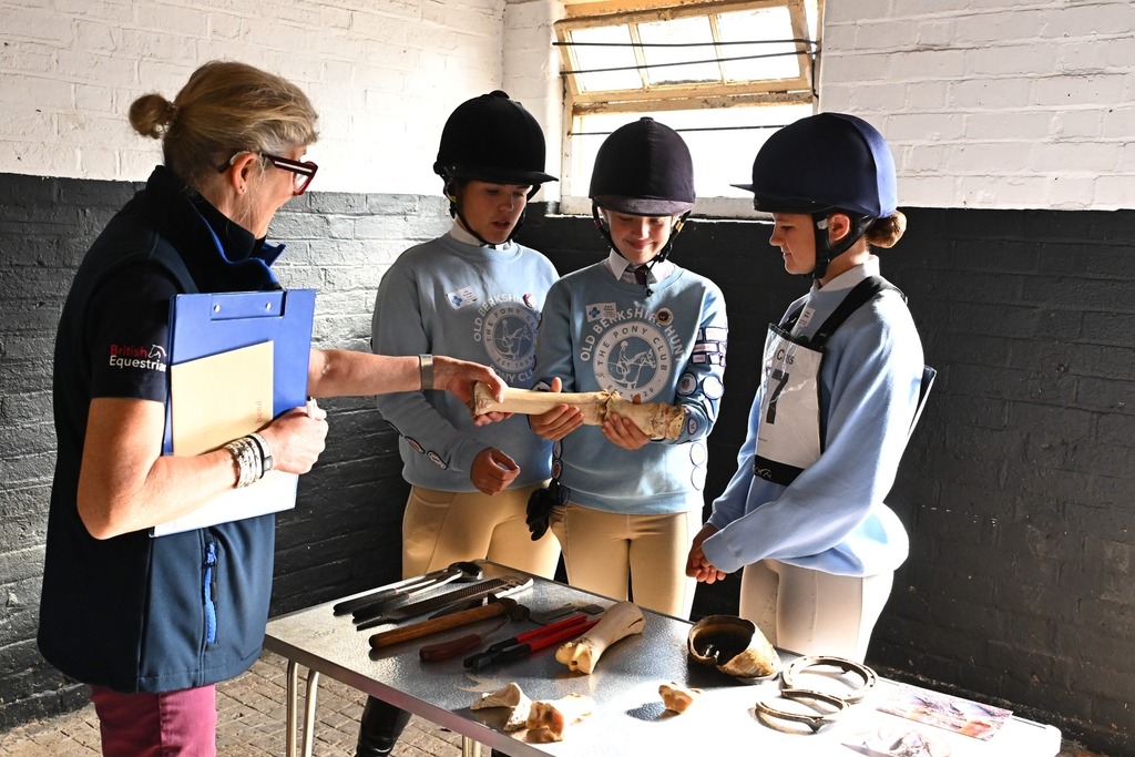Gallery Image for Pony Club
