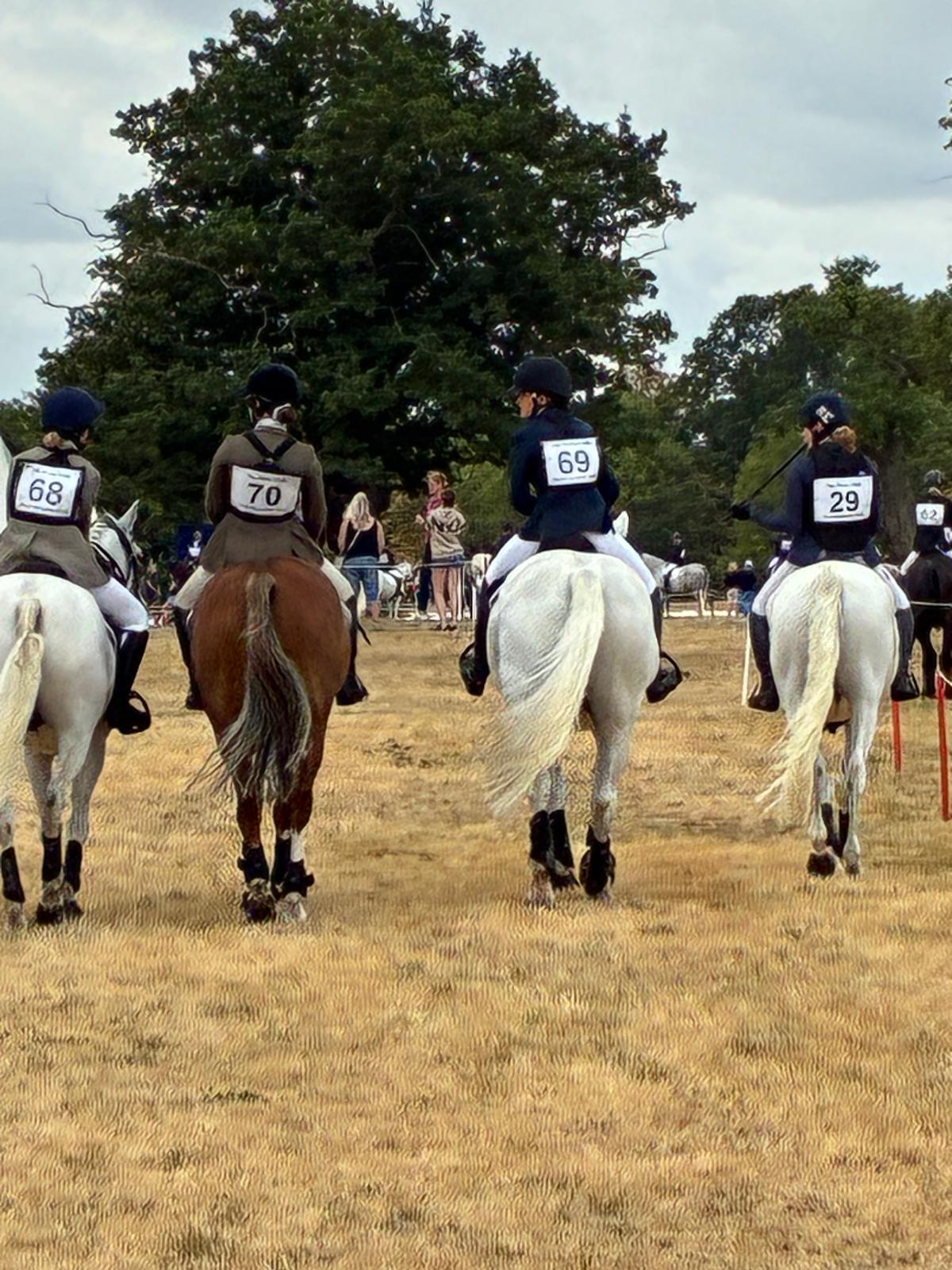 Gallery Image for Pony Club