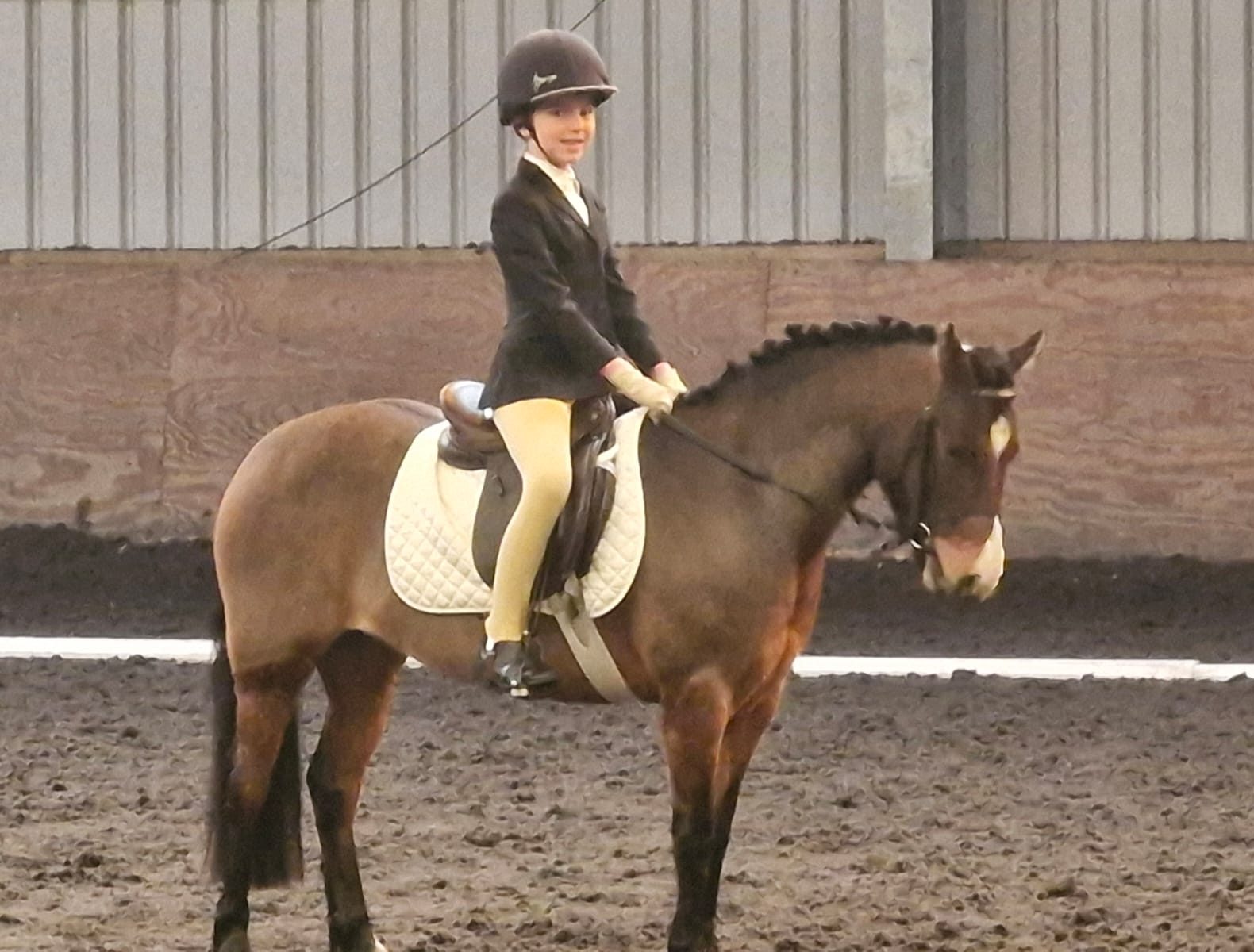 Dressage