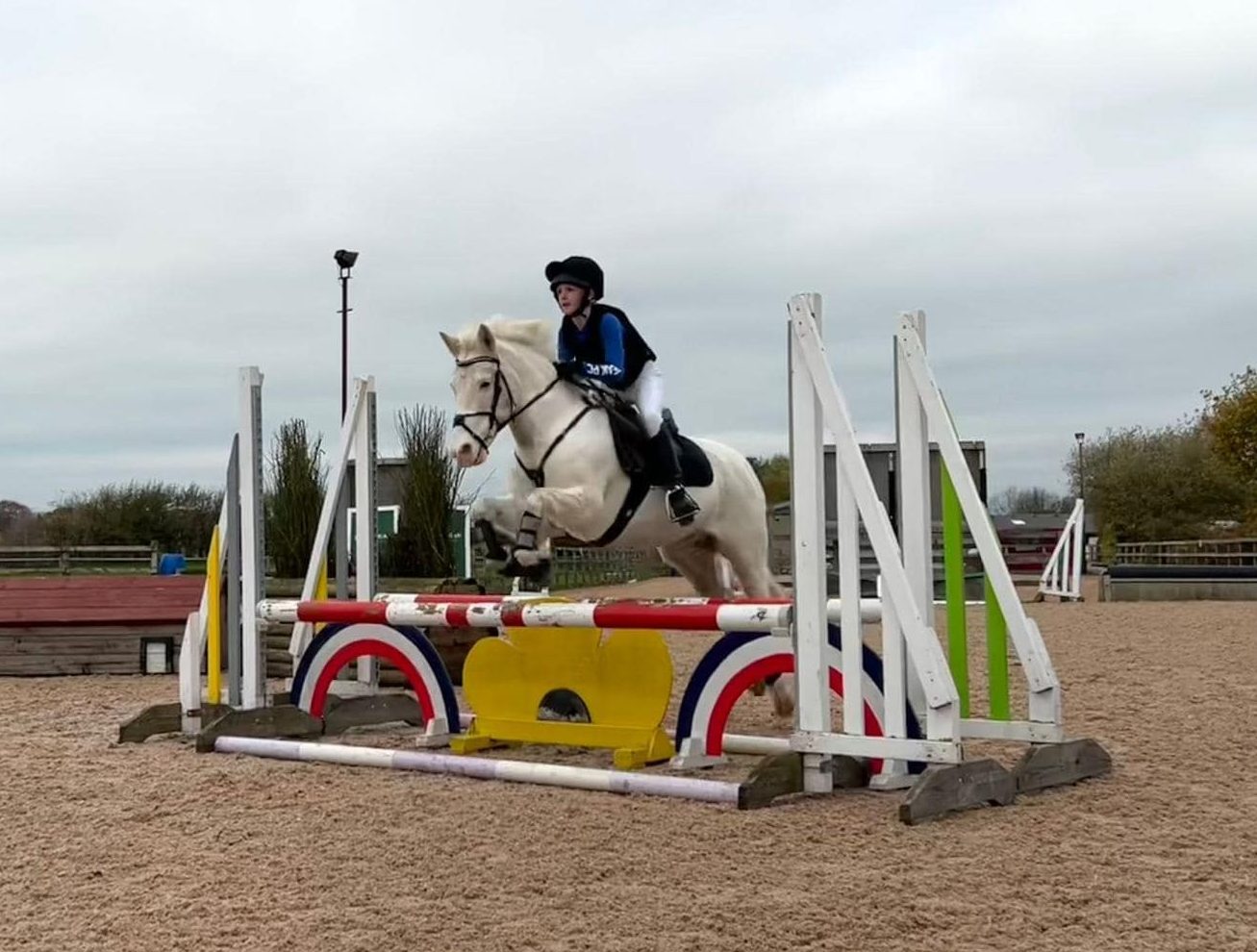 Show Jumping
