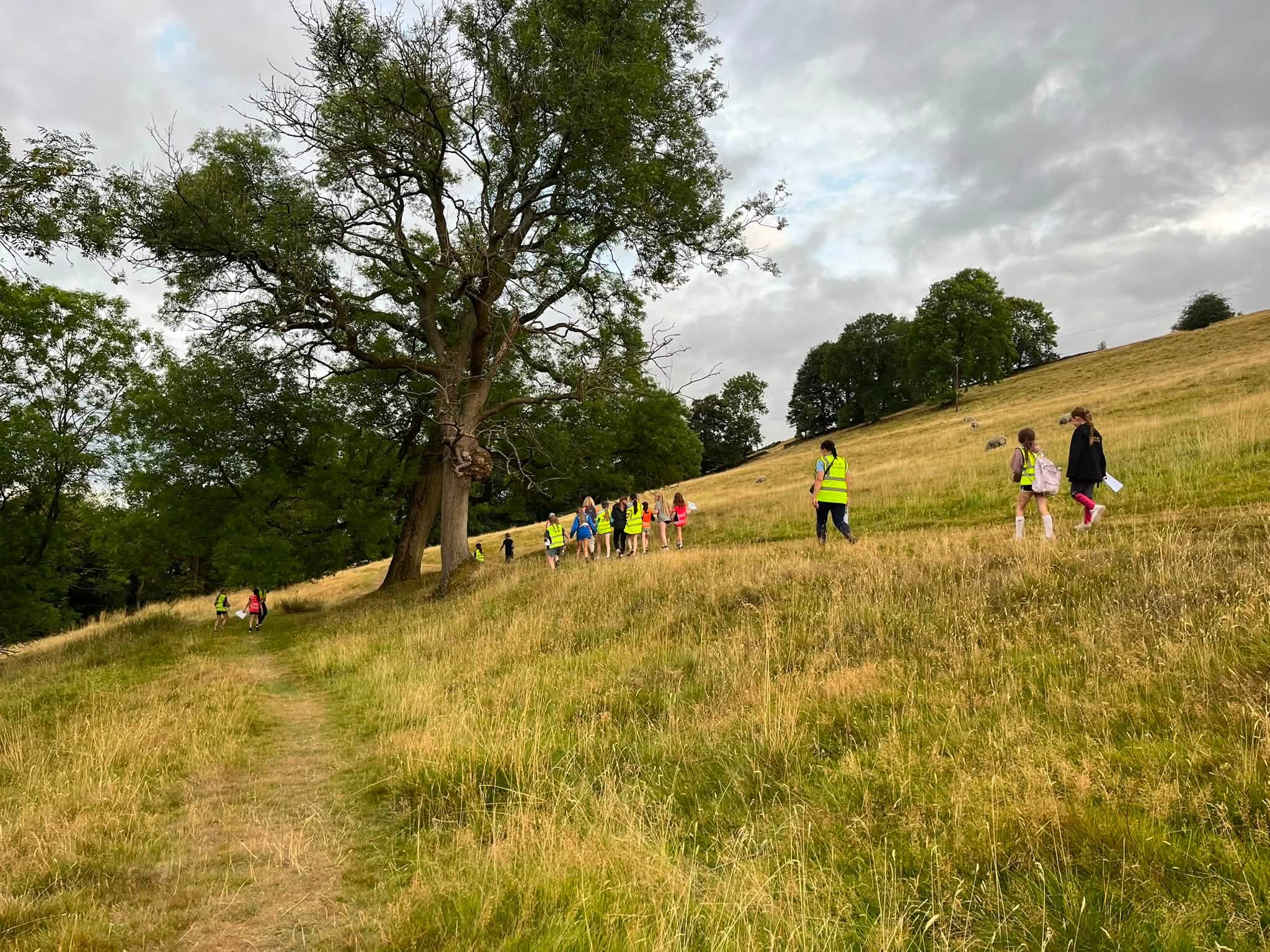 Gallery Image for Pony Club