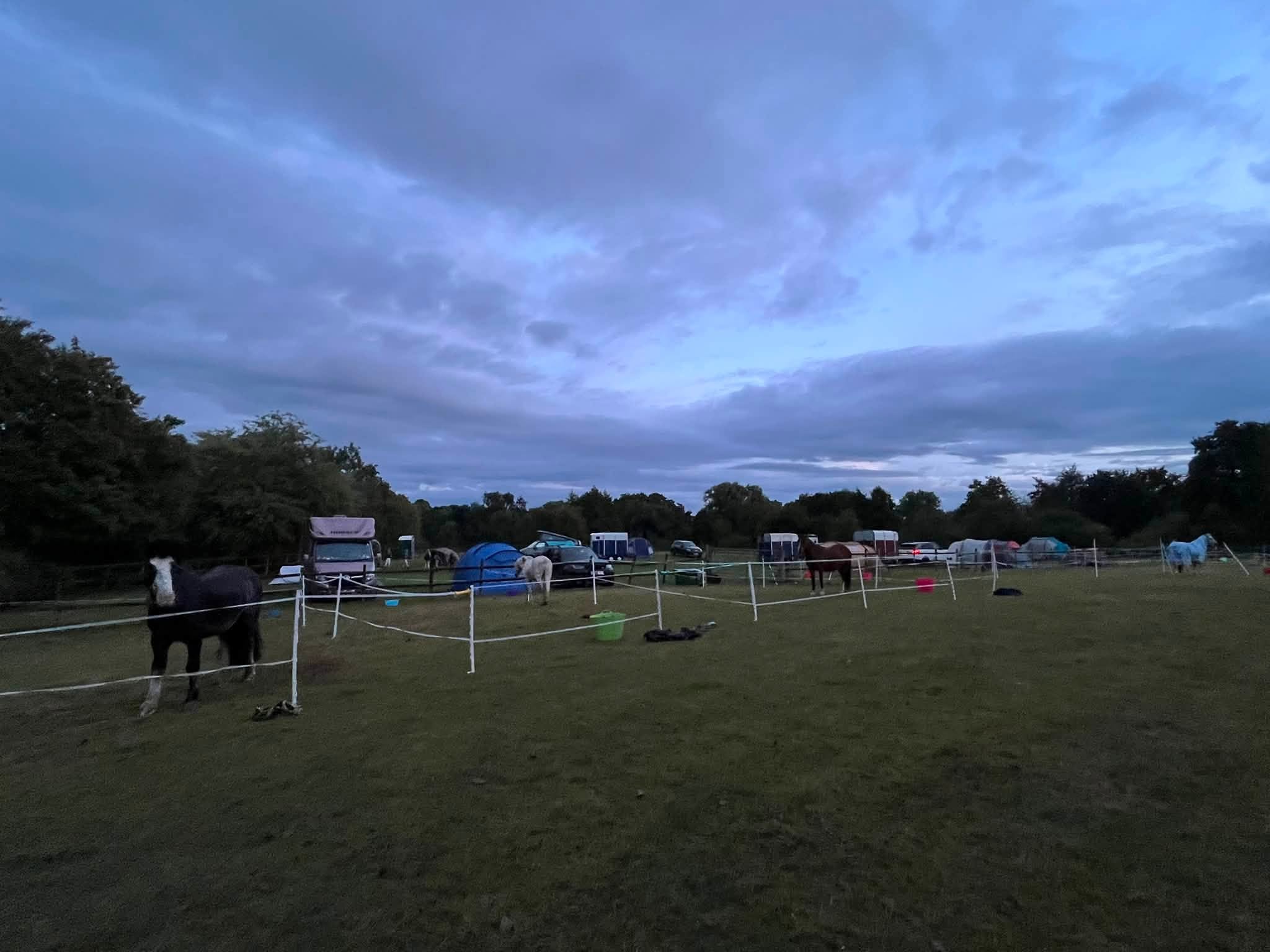 Gallery Image for Pony Club