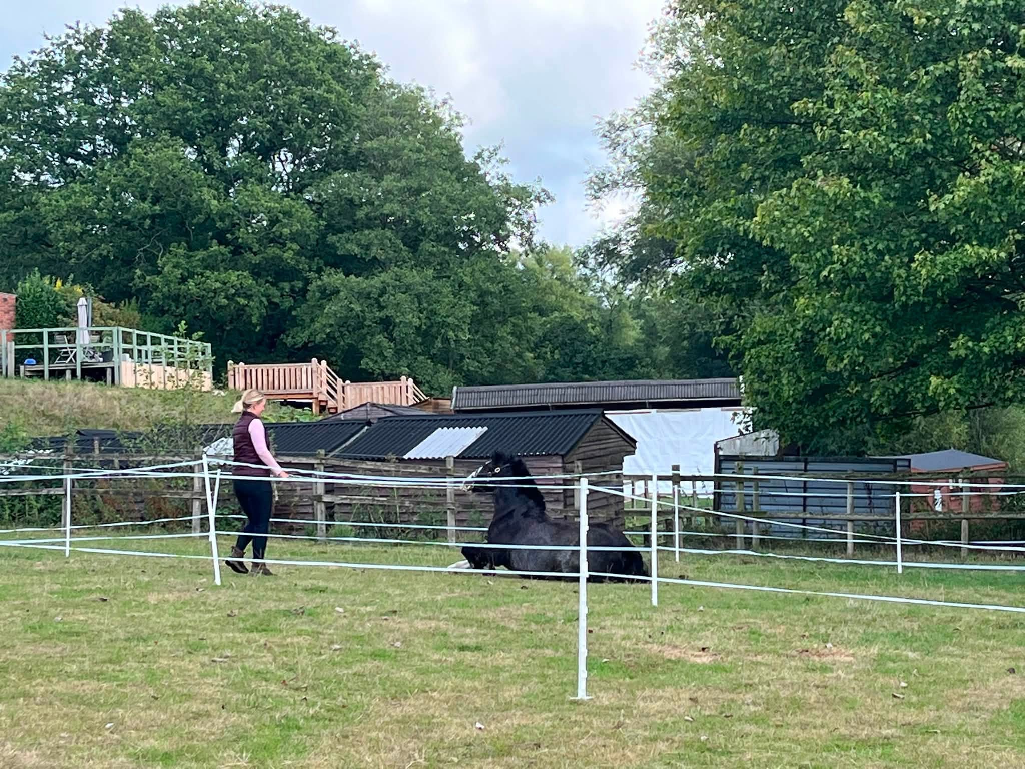 Gallery Image for Pony Club