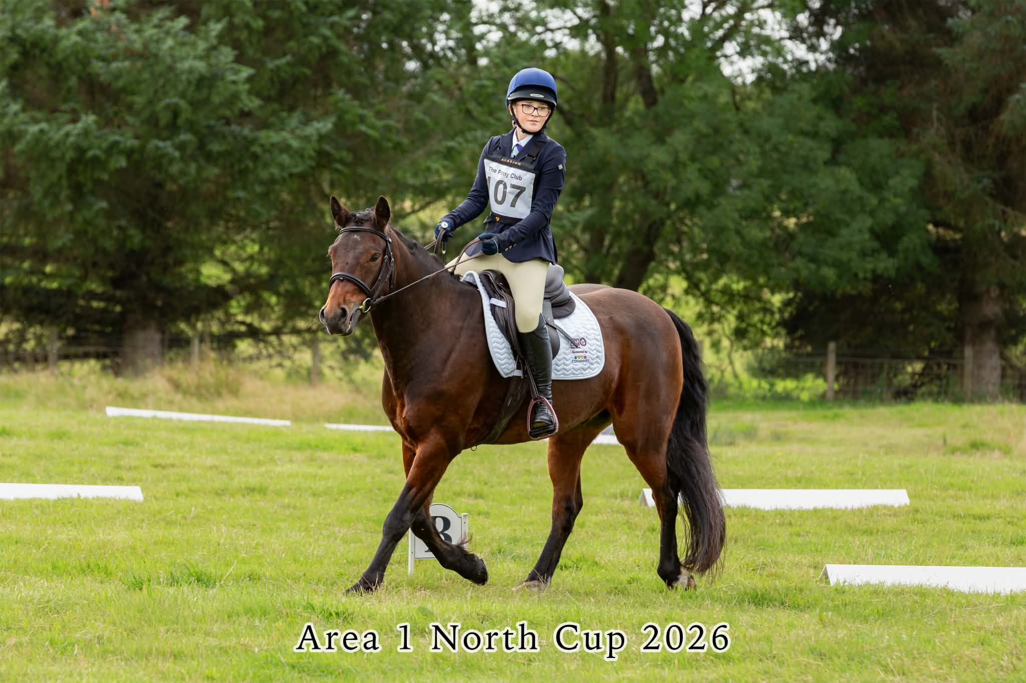 Gallery Image for Pony Club