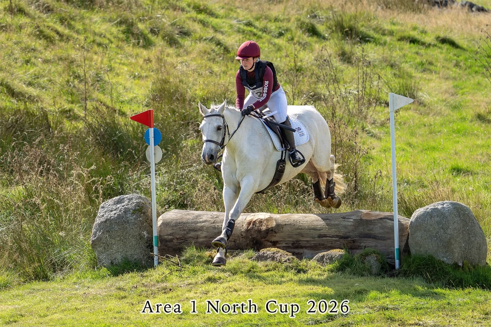 Gallery Image for Pony Club