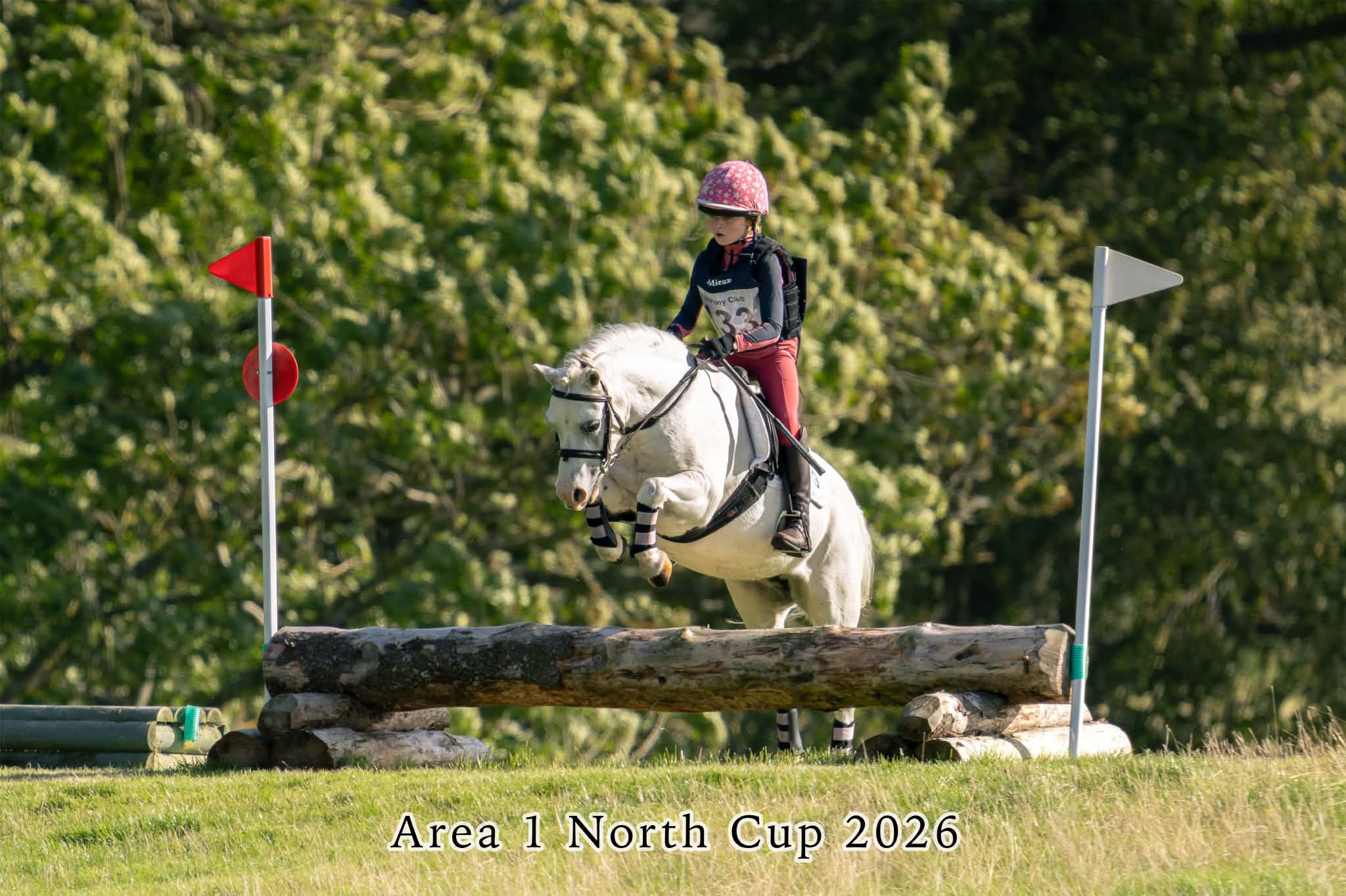 North Cup 2026