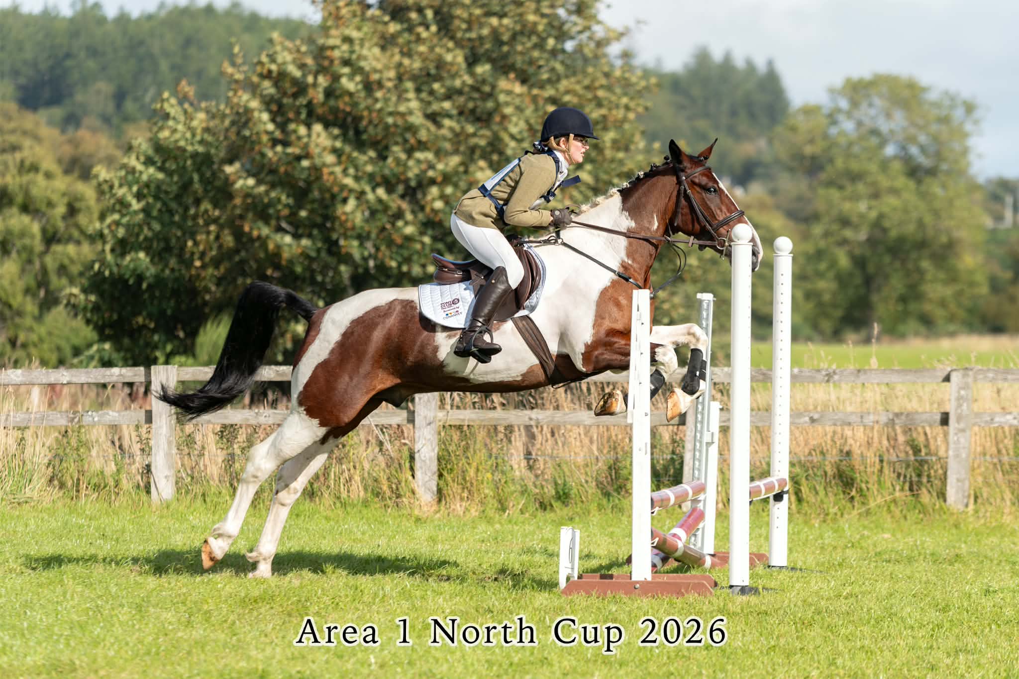 Gallery Image for Pony Club