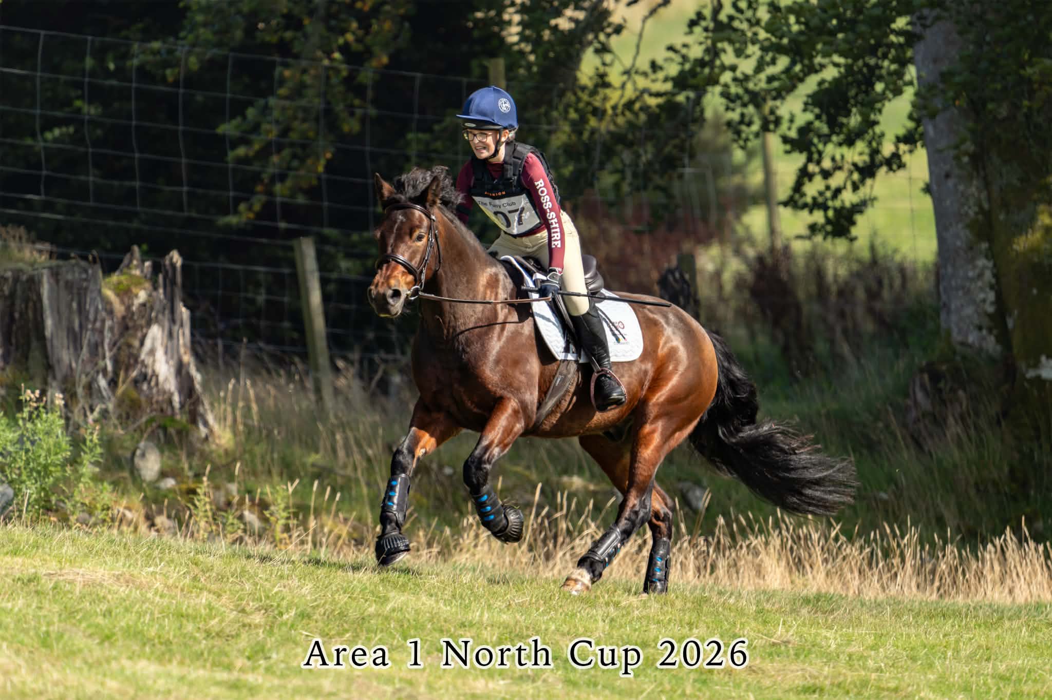 Gallery Image for Pony Club