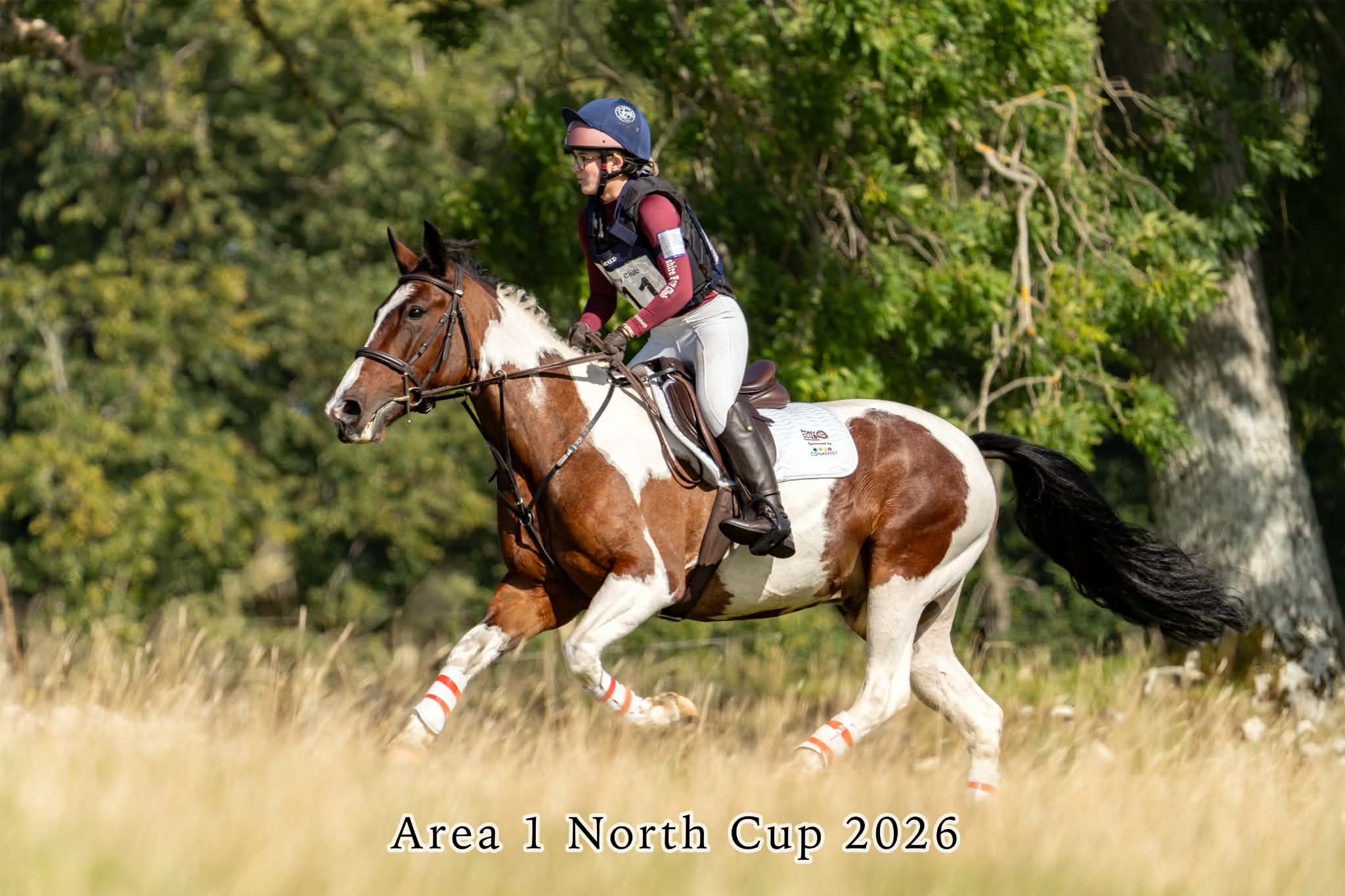 Gallery Image for Pony Club