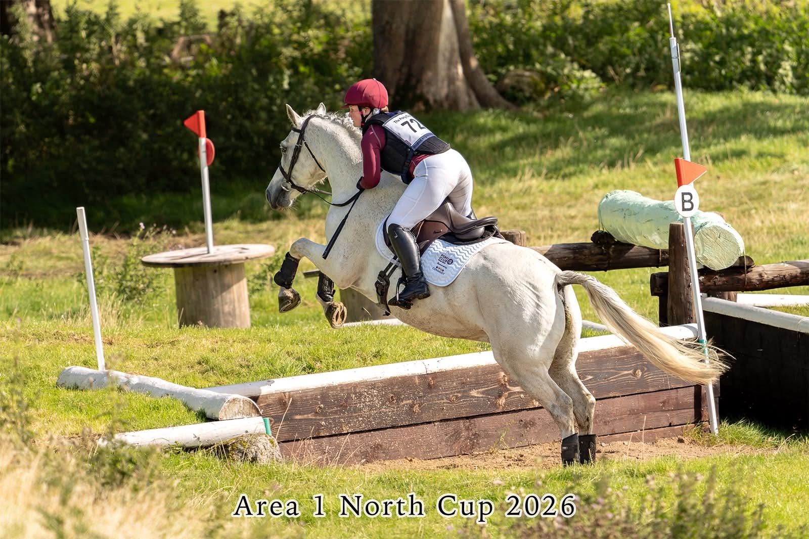 Gallery Image for Pony Club
