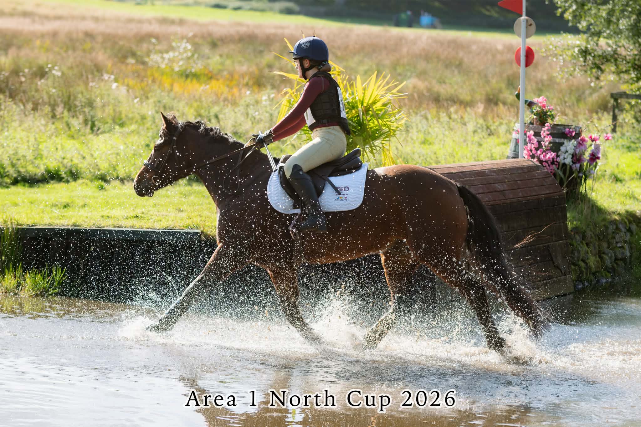 Gallery Image for Pony Club