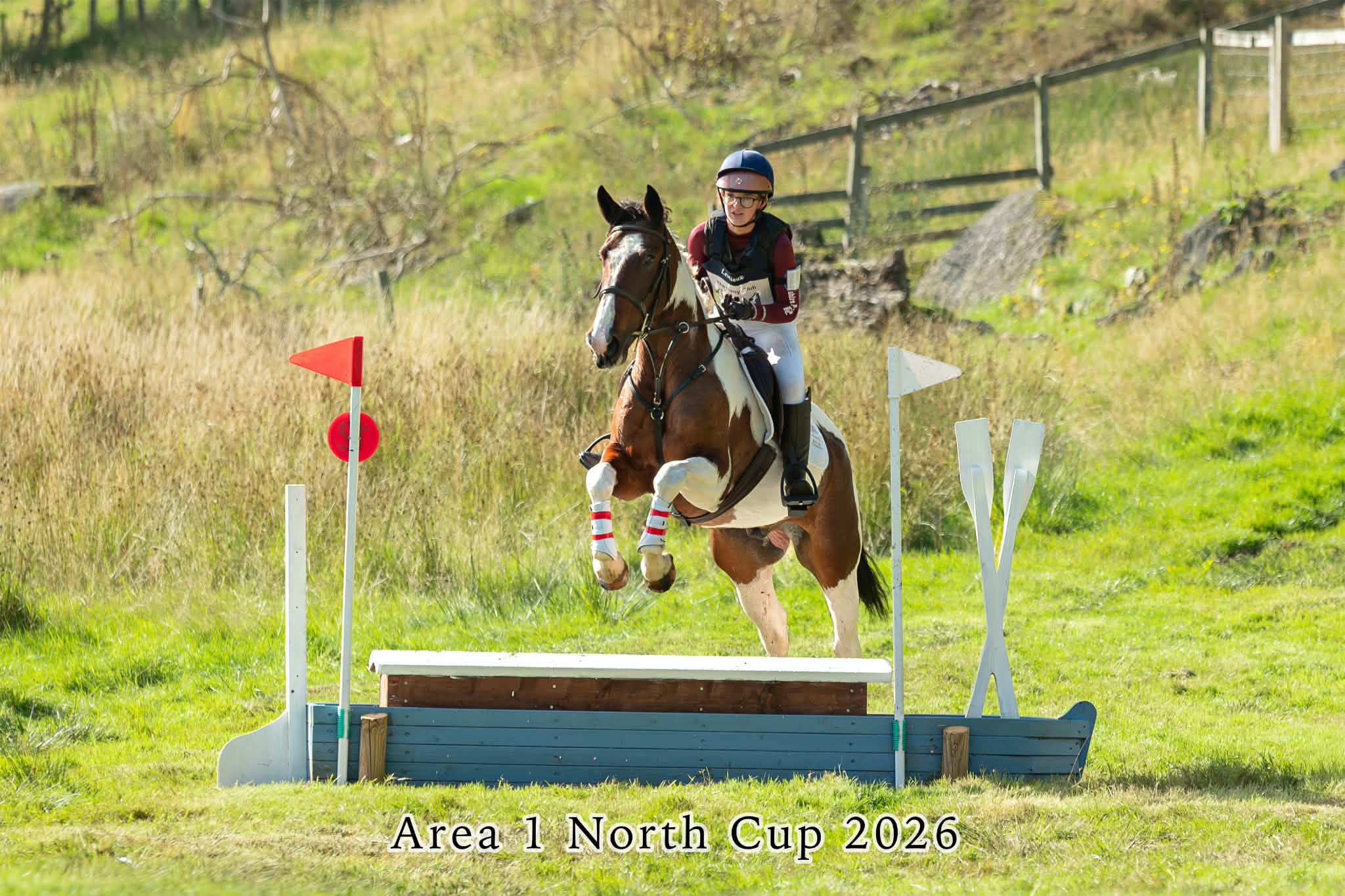Gallery Image for Pony Club