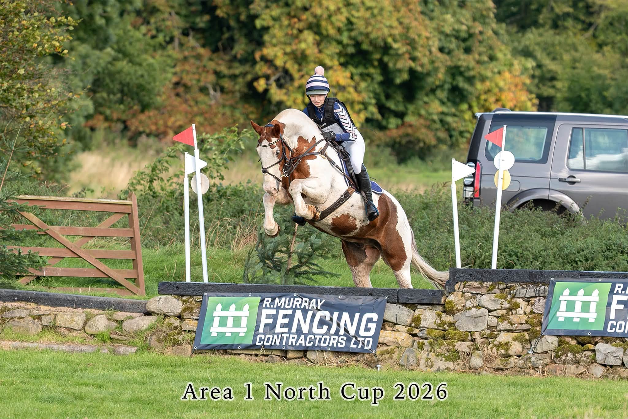 Gallery Image for Pony Club