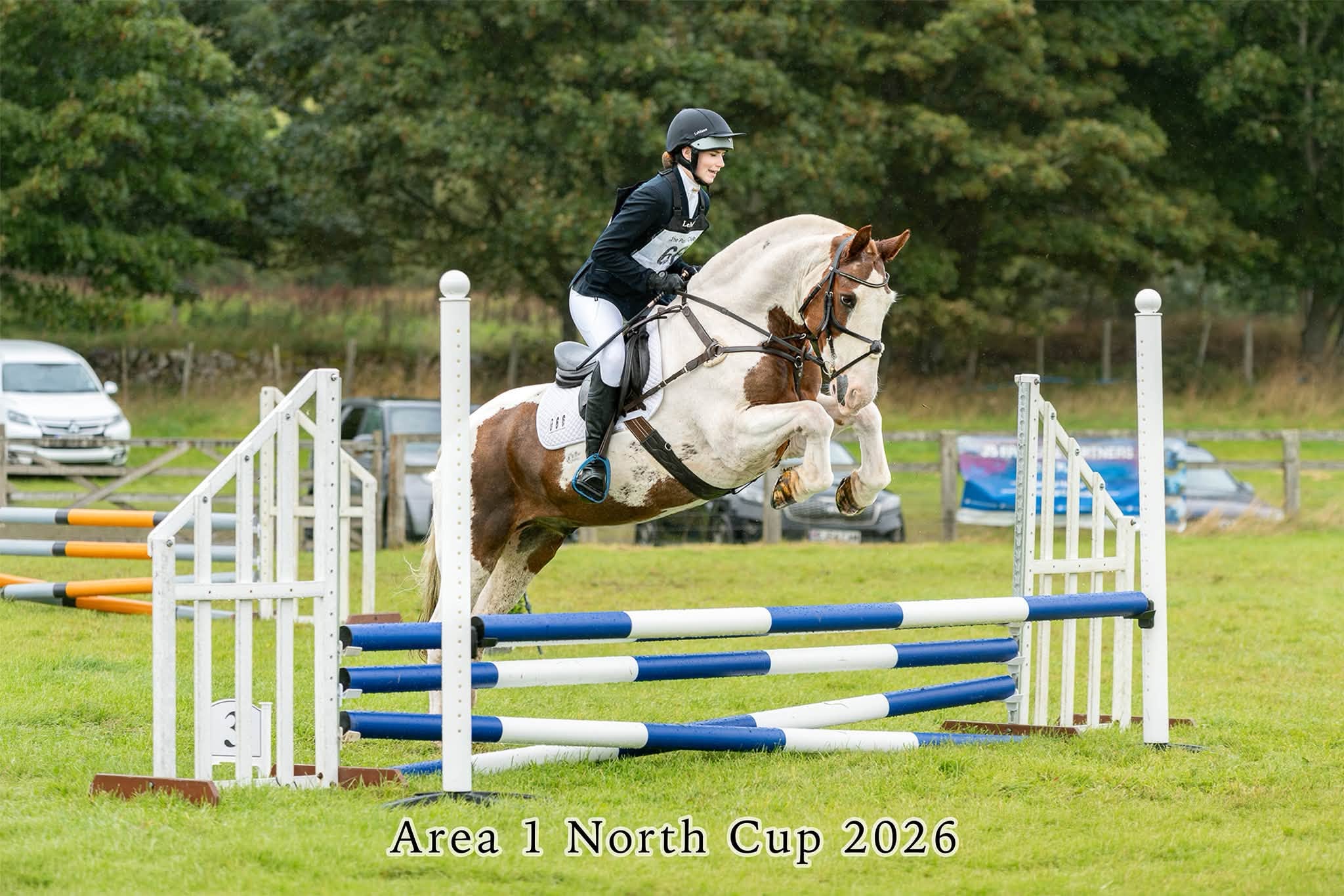 Gallery Image for Pony Club