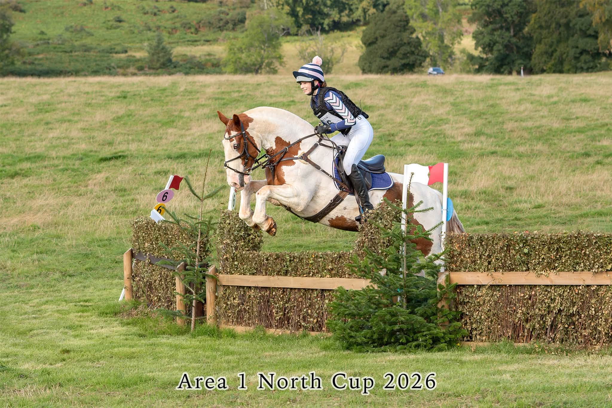 Gallery Image for Pony Club