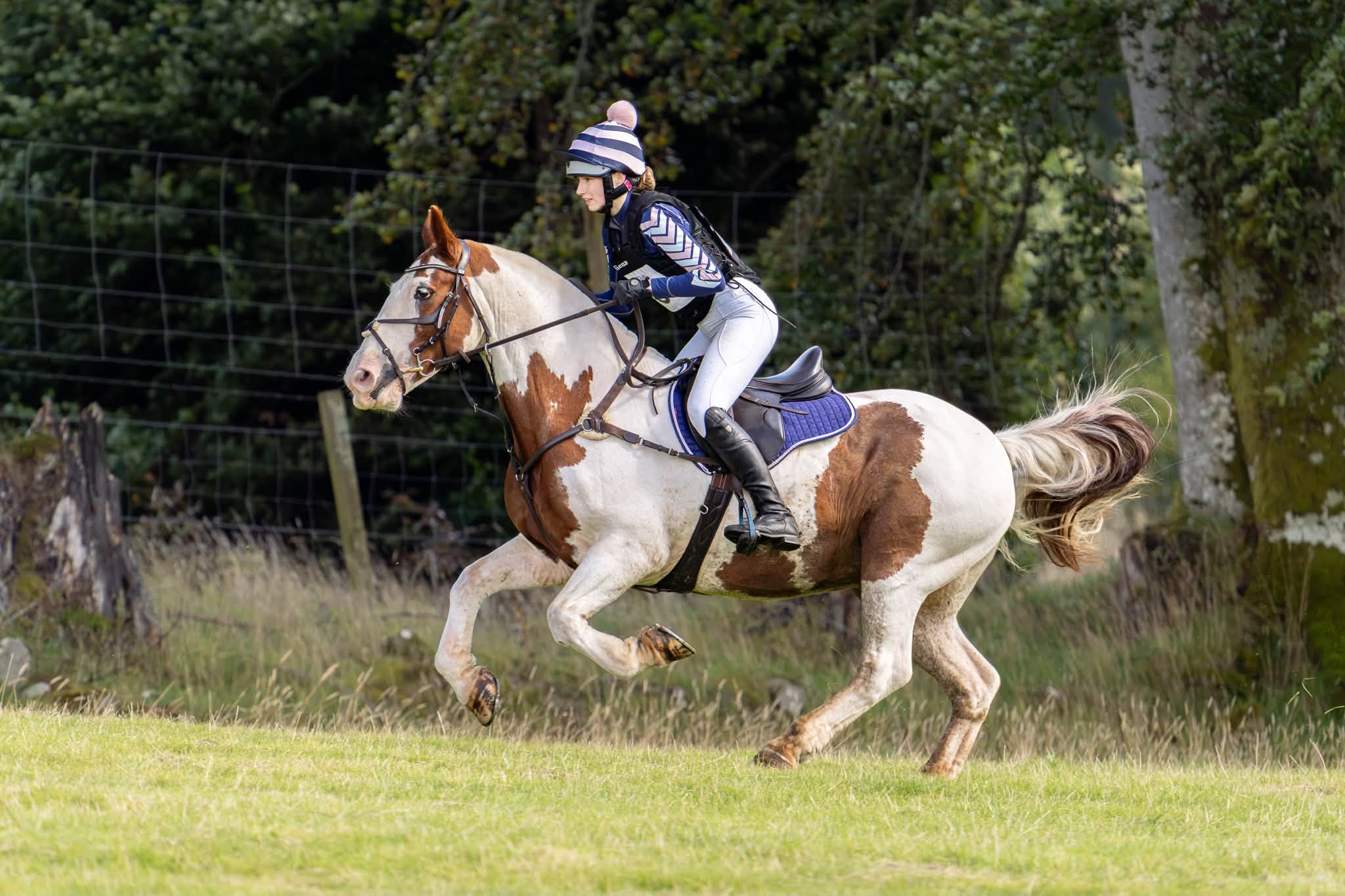 Gallery Image for Pony Club
