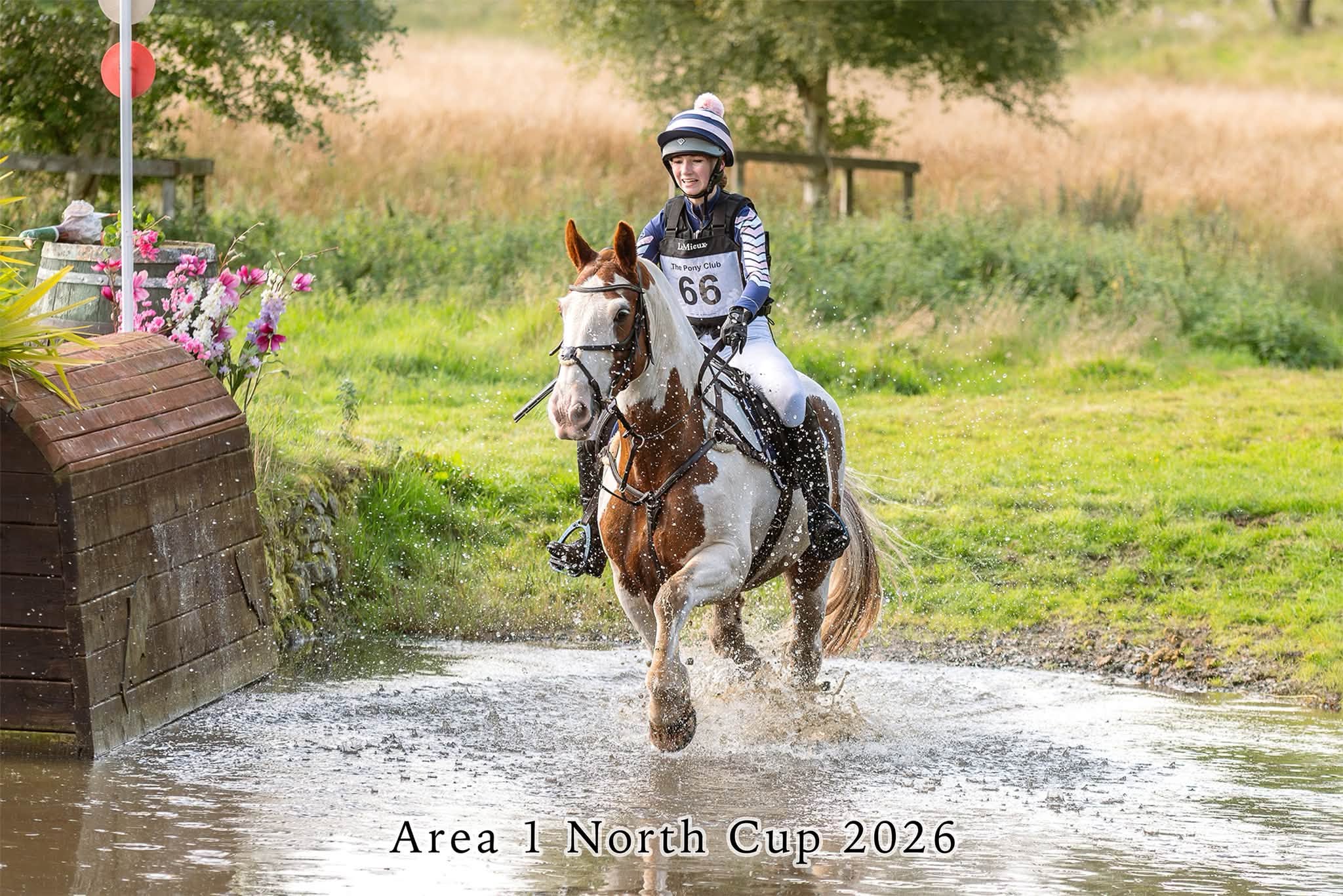Gallery Image for Pony Club