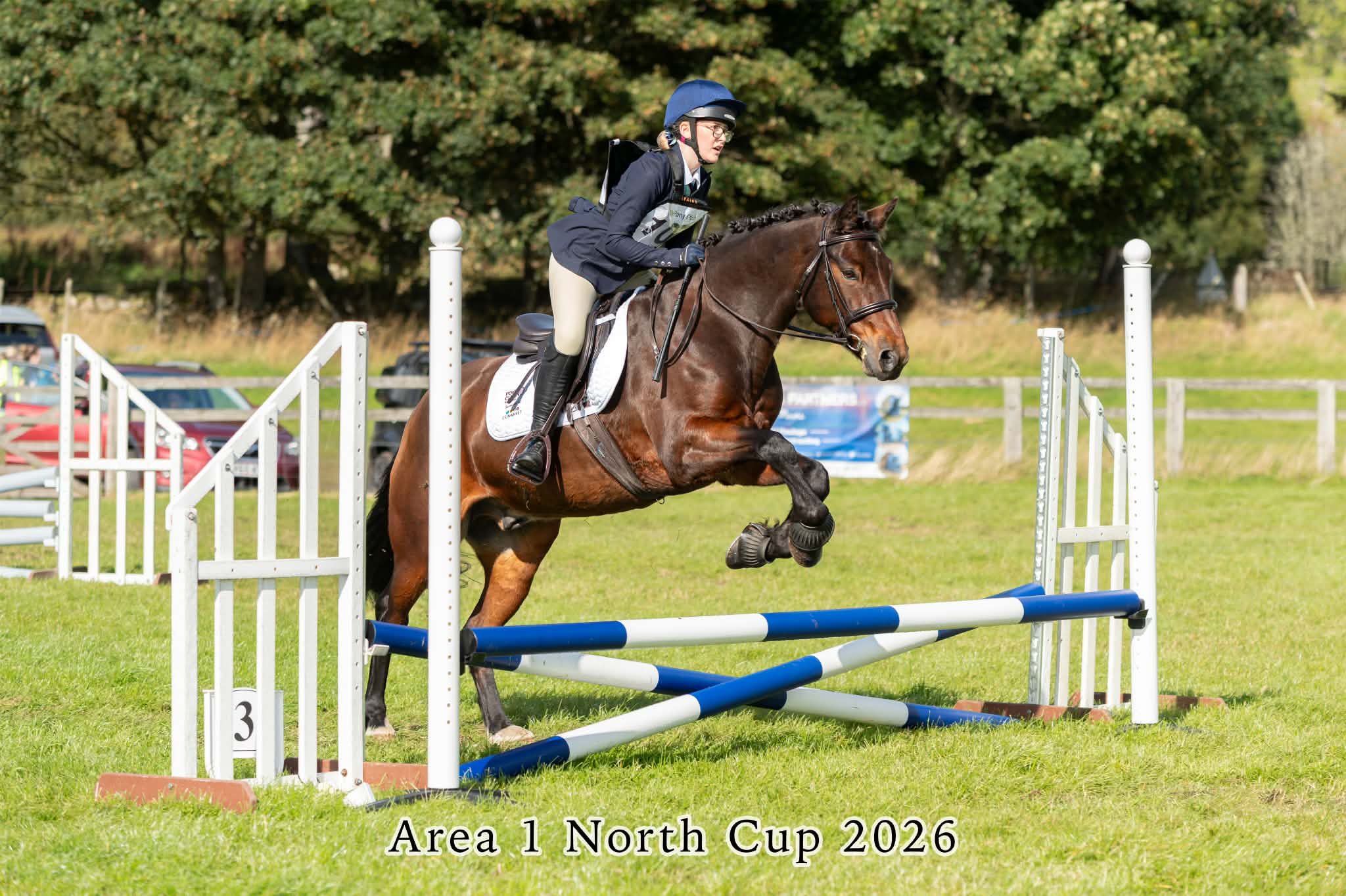 Gallery Image for Pony Club