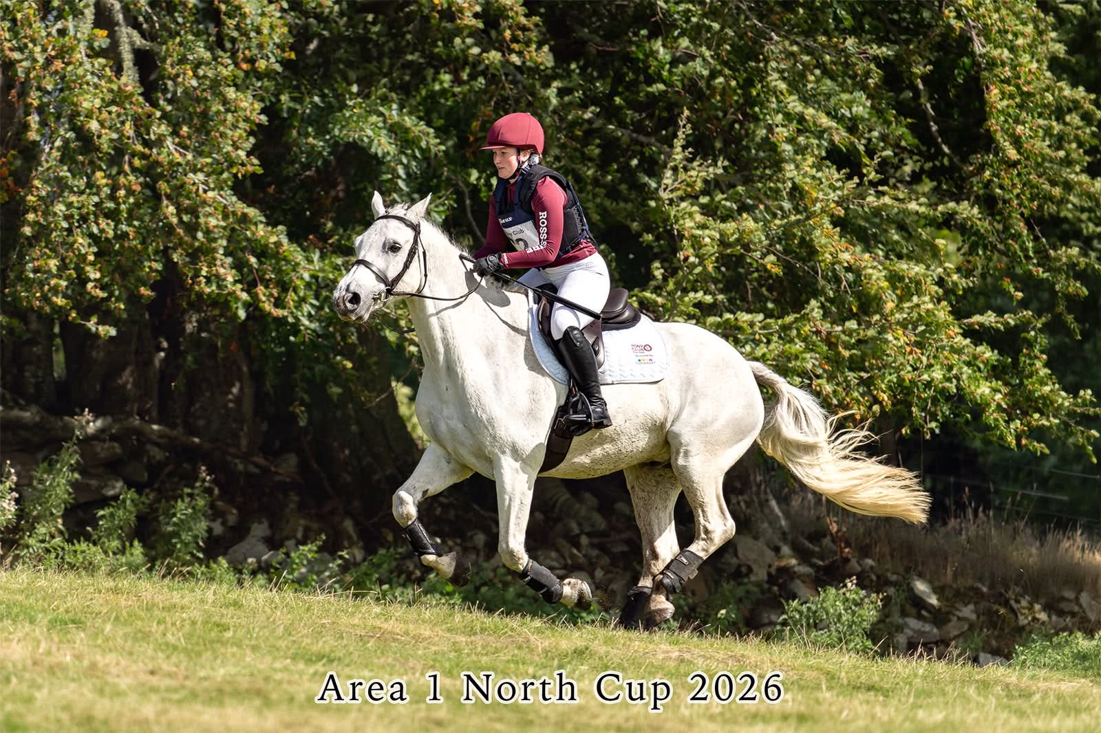 Gallery Image for Pony Club