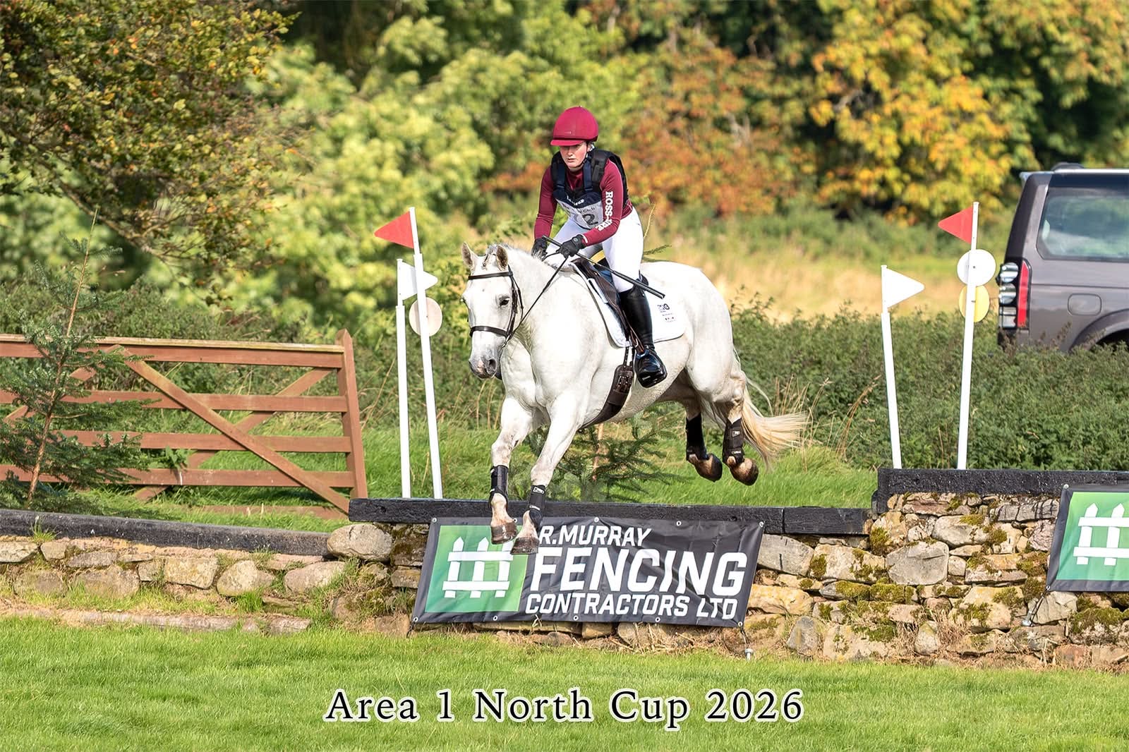 Gallery Image for Pony Club