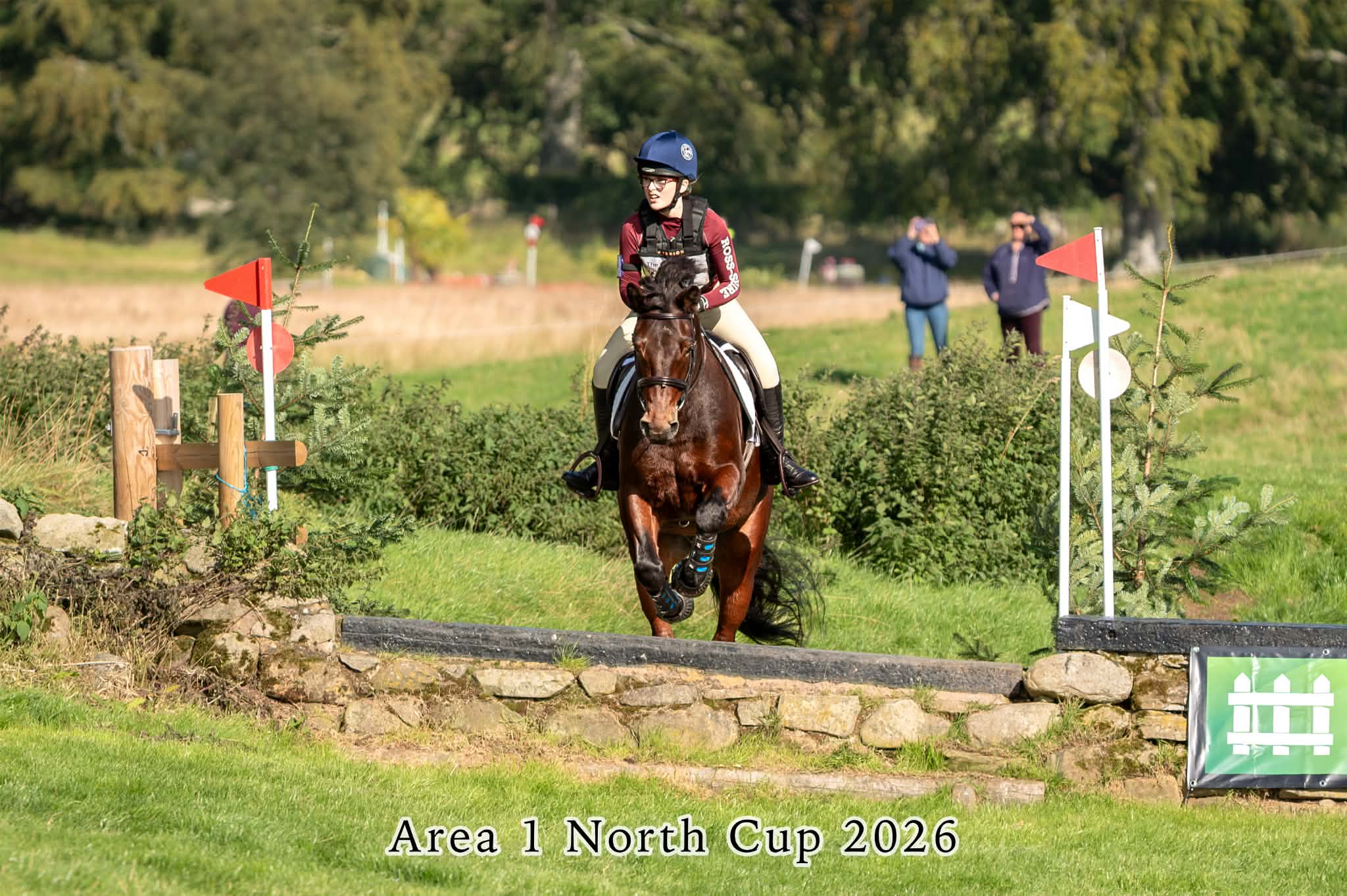 Gallery Image for Pony Club