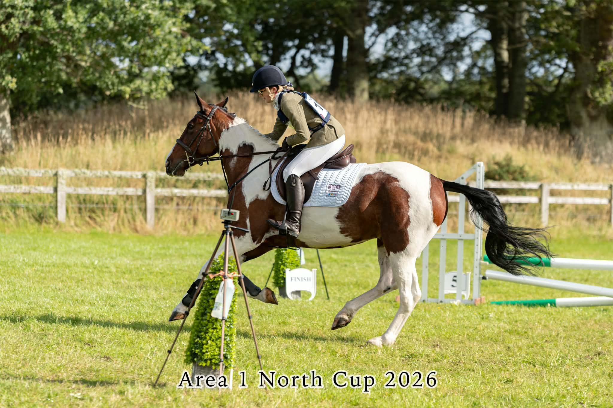 Gallery Image for Pony Club